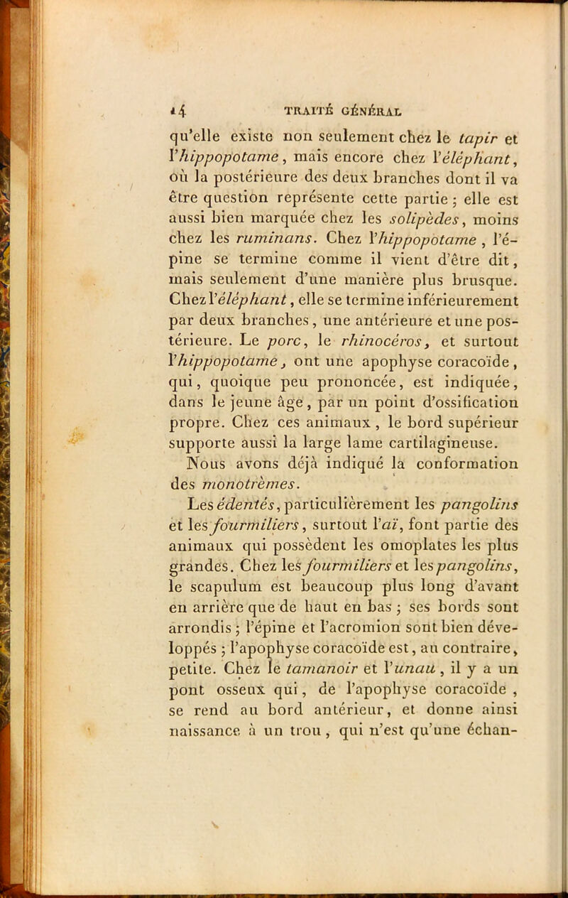 qu’elle existe non seulement chez le tapir et V hippopotame, mais encore chez Y éléphant^ où la postérieure des deux branches dont il va être question représente cette partie j elle est aussi bien marquée chez les solipèdes, moins chez les ruminans. Chez Vhippopotame , l’é- pine se termine comme il vient d’être dit, mais seulement d’une manière plus brusque. Chez Véléphant, elle se termine inférieurement par deux branches , une antérieure et une pos- térieure. Le porc, le rhinocéros, et surtout Vhippopotame J ont une apophyse coracoïde , qui, quoique peu prononcée, est indiquée, dans le jeune âge, par un point d’ossification propre. Chez ces animaux , le bord supérieur supporte aussi la large lame cartilagineuse. Nous avons déjà indiqué la conformation des monotrémes. Lesparticulièrement les pangolins et \és fourmiliers, surtout Vaï, font partie des animaux qui possèdent les omoplates les plus grandes. Chez les fourmiliers et les pangolins, le scapulum est beaucoup plus long d’avant en arrière que de haut en bas -, ses bords sont arrondis ; l’épine et l’acromion sont bien déve- loppés J l’apophyse coracoïde est, au contraire, petite. Chez le tamanoir et Yunau, il y a un pont osseux qui, de l’apophyse coracoïde , se rend au bord antérieur, et donne ainsi naissance, à un trou , qui n’est qu’une échan-