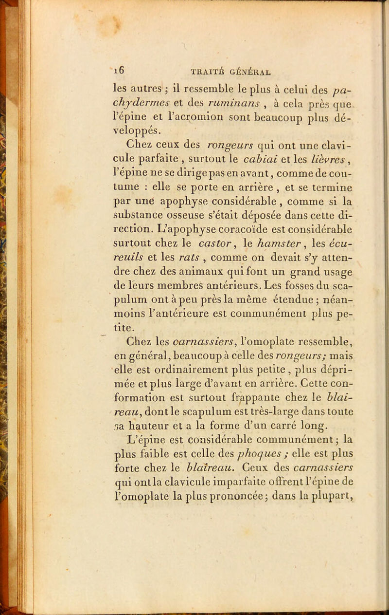 les autres ; il ressemble le plus à celui des pa- chjdermes et des riiminans , à cela près cjue l’épine et l’acromion sont beaucoup plus dé- veloppés. Chez ceux des rongeurs qui ont une clavi- cule parfaite , surtout le cahiai et les lièvres, l’épine ne se dirigepas en avant, comme de cou- tume : elle se porte en arrière , et se termine par uiié apophyse considérable , comme si la substance osseuse s’était déposée dans cette di- rection. L’apophyse coracoïde est considérable surtout chez le castor^ le hamster ^ les écu- reuils et les rats , comme on devait s’y atten- dre chez des animaux qui font un grand usage de leurs membres antérieurs. Les fosses du sca- pulum ont à peu près la même étendue ; néan- moins l’antérieure est communément plus pe- tite. Chez les carnassiers, l’omoplate ressemble, en général, beaucoup à celle des rongeurs; mais 'elle est ordinairement plus petite, plus dépri- mée et plus large d’avant en arrière. Cette con- formation est surtout frappante chez le blai- reau, dont le scapulum est très-large dans toute sa hauteur et a la forme d’un carré long. L’épine est considérable communément; la plus faible est celle des phoques ; elle est plus forte chez le blaireau. Ceux des carnassiers qui ont la clavicule imparfaite offrent l’épine de l’omoplate la plus prononcée; dans la plupart,