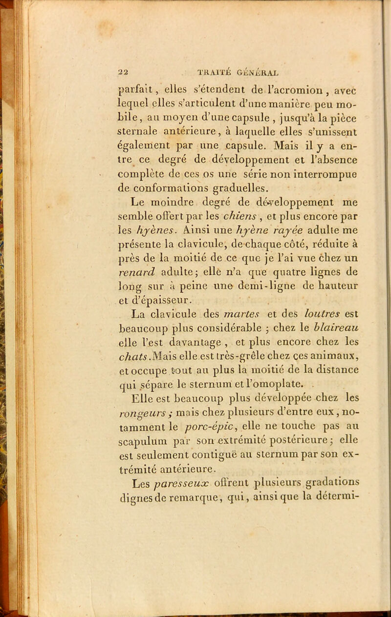 parfait, elles s’étendent de racromion , avec lequel elles s’articulent d’une manière peu mo- bile, au moyen d’une capsule , jusqu’à la pièce sternale antérieure, à laquelle elles s’unissent également par une capsule. Mais il y a en- tre ce degré de développement et l’absence complète de ces os une série non interrompue de conformations graduelles. Le moindre degré de dé*veloppement me semble offert par les chiens , et plus encore par les hjenes. A.insi une hjène rayée adulte me présente la clavicule, de chaque côté, réduite à près de la moitié de ce que je l’ai vue chez un renard adulte; elle n’a que quatre lignes de long sur à peine une demi-ligne de hauteur et d’épaisseur. ' . La clavicule des martes et des loutres est beaucoup plus considérable ; chez le blaireau elle l’est davantage , et plus encore chez les chatsMq.\s elle est très-grêle chez ces animaux, et occupe tout au plus la moitié de la distance qui sépare le sternum et l’omoplate. Elle est beaucoup plus développée chez les rongeurs ; mais chez plusieurs d’entre eux, no- tamment le yt7orc-é/7fc, elle ne touche pas au scapulum par son extrémité postérieure ; elle est seulement contiguë au sternum par son ex- trémité antérieure. Les paresseux ofirent plusieurs gradations dignes de remarque, qui, ainsique la détermi-