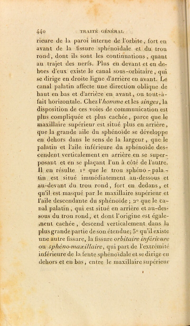 rieure de la paroi interne de l’orbite, fort en avant de la fissure sphénoïdale et du trou rond, dont ils sont les continuations, quant au trajet des nerfs. Plus en devant et en de- hors d’eux existe le canal sous-orbitaire, qui se dirige en droite ligne d’arrière en avant. Le canal palatin affecte une direction oblique de haut en bas et d’arrière en avant, ou tout-à- fait horizontale. ChezV homme et les singes, la disposition de ces voies de communication est plus compliquée et plus cachée, parce que le maxillaire supérieur est situé plus eu arrière, que la grande aile du sphénoïde se développe en dehors dans le sens de la largeur, que le palatin et l’aile inférieure du sphénoïde des- cendent verticalement en arrière en se super- posant et en se plaçant l’un à côté de l’autre. Il en résulte 1° que le trou sphéno-pala- tin est situé immédiatement au-dessous et au-devant du trou rond, fort en dedans , et qu’il est masqué par le maxillaire supérieur et l’aile descendante du sphénoïde j 2° que le ca- nal palatin, qui est situé en arrière et au-des- sous du trou rond, et dont l’origine est égale- ment cachée , descend verticalement dans la plus grande partie de son étendue; 5° qu’il existe une autre fissure, la fissure orbitaire inférieure ou sphéno-maæillaire, qui part de l’extrémité inférieure de la fente sphénoïdale et se dirige en dehors et en bas, entre le maxillaire supérieur