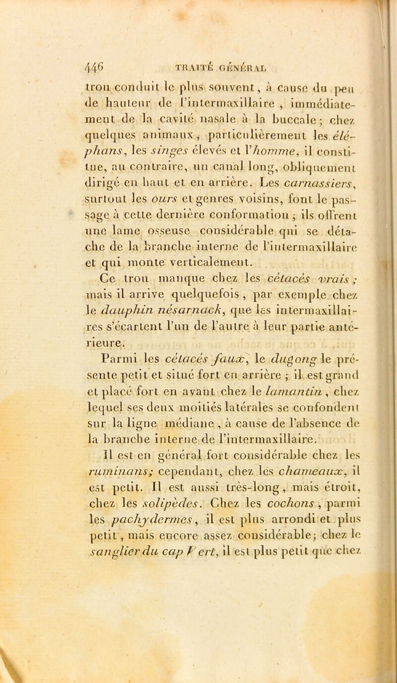 irou conduit le pins souvent, à c.iuse du ]>eu de hauteur de rintermaxillalre , iminédiaie- ment de la cavité nasale à la buccale; chez quelques animaux j partlcullèreinent les e7é- phans^ les singes élevés et VJiomme^ il consti- Uie, au contraire, un canal long, obliquement dirigé en haut et en arrière. Les carnassiers^ surtout les ours et genres voisins, font le pas- sage à cette dernière conformation ; ils offrent une lame osseuse considérable qui se déta- che de la branche Interne de rintermaxillalre et qui monte verticalement. Ce trou manque chez les cétacés 'vrais; mais il arrive quelquefois, par exemple chez le dauphin nésarjiack, que les intermaxillai- res s’écartent l’im de l’autre cà leur partie anté- rieure. Parmi les cétacés fause^ le dugong le pré- sente petit et situé fort en arrière ; il est grand et placé fort en avant chez le lamantin , chez lequel ses deux moitiés latérales se confondent sur la ligne médiane , à cause de l’absence de la branche interne de l’intermaxillalre. Il est en général fort considérable chez les ruminaJis; cependant, chez les chameauæ, il est petit. Il est aussi très-long, mais étroit, chez les solipèdes. Chez les cochons , parmi les pachjdermes ^ il est plus arrondi et plus petit, mais encore assez considérable; chez le sanglier du cap F ert, il est plus petit que cliez