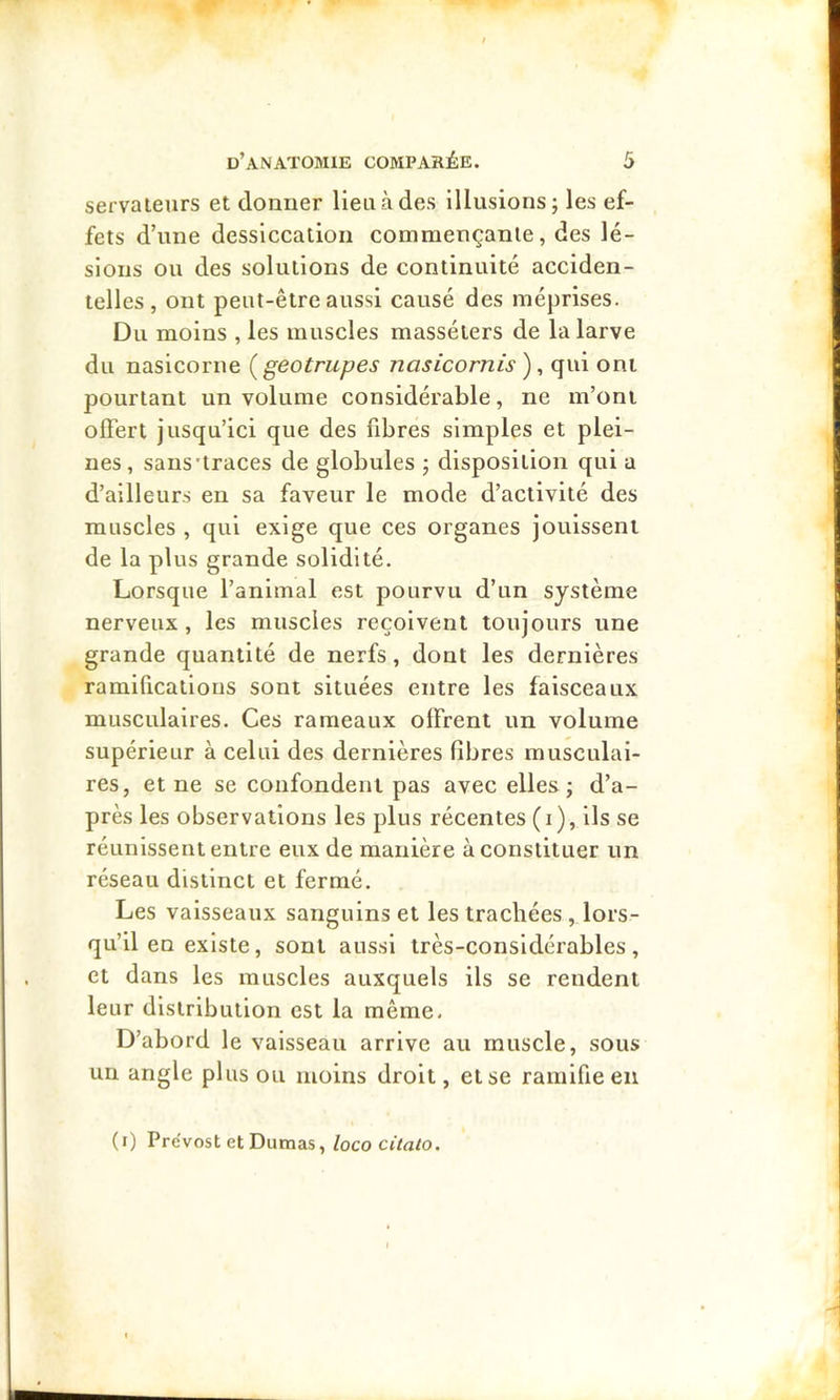 servaieurs et donner lien à des Illusions; les ef- fets d’une dessiccation commençante, des lé- sions ou des solutions de continuité acciden- telles, ont peut-être aussi causé des méprises. Du moins , les muscles massélers de la larve du nasicorne [geotrupes nasicornis ), qui ont pourtant un volume considérable, ne m’ont offert jusqu’ici que des fibres simples et plei- nes, sans'traces de globules ; disposition qui a d’ailleurs en sa faveur le mode d’activité des muscles , qui exige que ces organes jouissent de la plus grande solidité. Lorsque l’animal est pourvu d’un système nerveux, les muscles reçoivent toujours une grande quantité de nerfs, dont les dernières ramifications sont situées entre les faisceaux musculaires. Ces rameaux offrent un volume supérieur à celui des dernières fibres musculai- res, et ne se confondent pas avec elles; d’a- près les observations les plus récentes (i), ils se réunissent entre eux de manière à constituer un réseau distinct et fermé. Les vaisseaux sanguins et les trachées , lors- qu’il en existe, sont aussi très-considérables, et dans les muscles auxquels ils se rendent leur distribution est la même. D’abord le vaisseau arrive au muscle, sous un angle plus ou moins droit, et se ramifie en (0 Prévost et Dumas,/oco ctVrt/o.