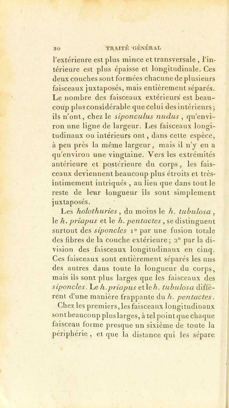 'rilMT/; GÉNÉRAL l’extérieure est plus mince et transversale , l’in- térieure est plus épaisse et longitudinale. Ces deux couches sont formées chacune de plusieurs faisceaux juxtaposés, mais entièrement séparés. Le nombre des faisceaux extérieurs est beau- CGup plus considérable que Celui des intérieurs; ils n’ont, chez le siponculus niidus , qu’envi- ron une ligne de largeur. Les faisceaux longi- tudinaux ou intérieurs ont, dans celte espèce, à peu près la même largeur, mais il n’y en a qu’environ une vingtaine. Vers les extrémités antérieure et postérieure du corps, les fais- ceaux deviennent beaucoup plus étroits et très- intimement intriqués , au lieu que dans tout le reste de leur longueur ils sont simplement juxtaposés. Les holothuries, du moins le h. tahulosa , le h. priapLis et le h. pentact.es , se distinguent surtout des siponcles par une fusion totede des fibres de la couche extérieure ; 2° par la di- vision des faisceaux longitudinaux en cinq. Ces faisceaux sont entièrement séparés les uns des autres dans toute la longueur du corps, mais ils sont plus larges que les faisceaux des siponcles. IliG. h.priapus et le A. tuhidosa dîffè- rént d’une manière frappante du h. pentactes. Chez les premiers, les faisceaux longitudinaux sontbeaucoup plus larges, à tel point que chaque faisceau forme presque un sixième de toute la périphérie , et que la distance qui les sépare