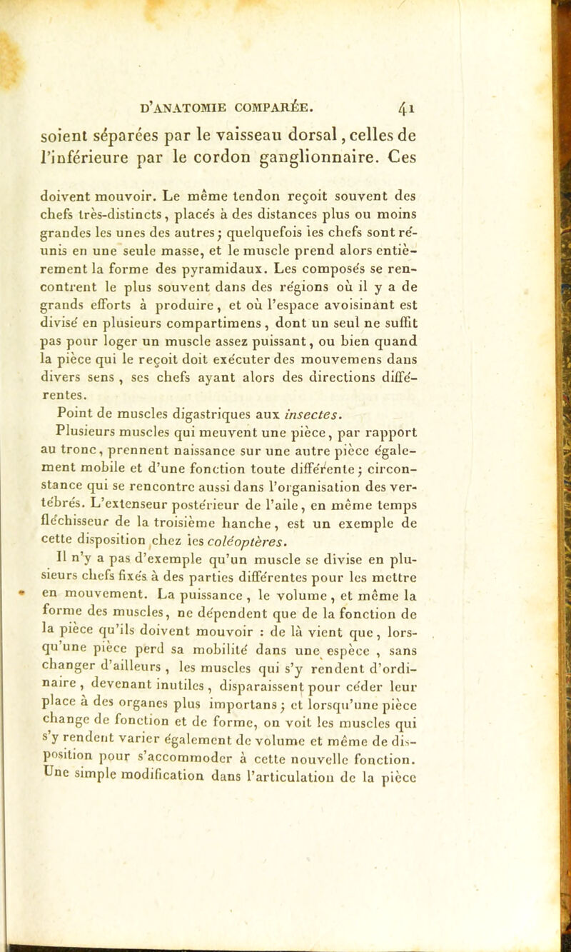 soient séparées par le vaisseau dorsal, celles de l’inférieure par le cordon ganglionnaire. Ces doivent mouvoir. Le même tendon reçoit souvent des chefs très-distincts, place's à des distances plus ou moins grandes les unes des autres^ quelquefois les chefs sont re'- unis en une seule masse, et le muscle prend alors entiè- rement la forme des pyramidaux. Les compose's se ren- contrent le plus souvent dans des re'gions où il y a de grands efforts à produire, et où l’espace avoisinant est divise en plusieurs compartimens, dont un seul ne suffit pas pour loger un muscle assez puissant, ou bien quand la pièce qui le reçoit doit exe'cuter des mouveraens dans divers sens , scs chefs ayant alors des directions diffe'- rentes. Point de muscles digastriques aux insectes. Plusieurs muscles qui meuvent une pièce, par rapport au tronc, prennent naissance sur une autre pièce e'gale- ment mobile et d’une fonction toute diffeVente j circon- stance qui se rencontre aussi dans l’organisation des ver- te'brés. L’extenseur poste'rieur de l’aile, en même temps fléchisseur de la troisième hanche, est un exemple de cette disposition ^chez \cs coléoptères. Il n’y a pas d’exemple qu’un muscle se divise en plu- sieurs chefs fixe's à des parties diffe'rentes pour les mettre en mouvement. La puissance , le volume , et même la forme des muscles, ne de'pcndent que de la fonction de la pièce qu’ils doivent mouvoir : de là vient que, lors- qu une piece perd sa mobilité dans une espèce , sans changer d’ailleurs , les muscles qui s’y rendent d’ordi- naire , devenant inutiles , disparaissent pour céder leur place à des organes plus importans •, et lorsqu’une pièce change de fonction et de forme, on voit les muscles qui s y rendent varier également de volume et même de dis- position pour s’accommoder à cette nouvelle fonction. Une simple modification dans l’articulation de la pièce