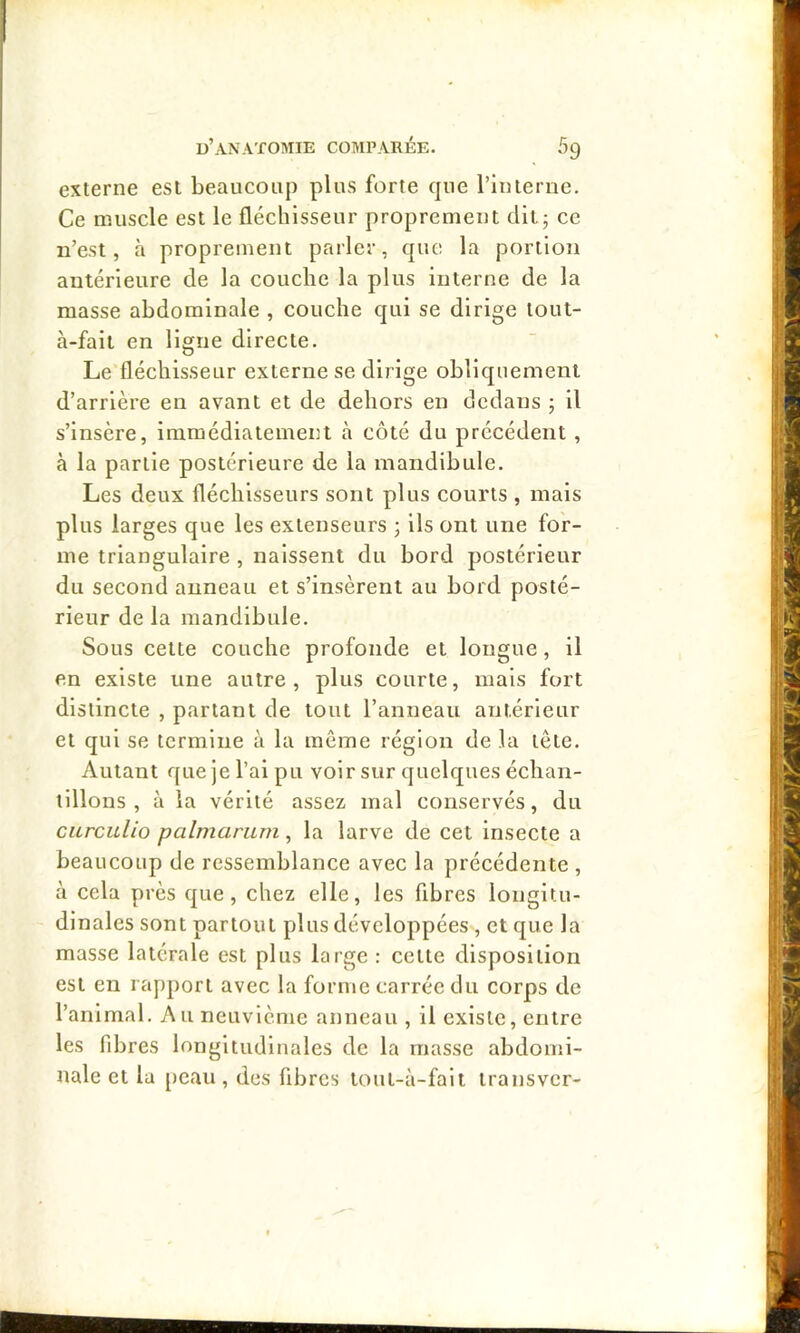 externe est beaucoup plus forte que l’interne. Ce muscle est le fléchisseur proprement dit5 ce n’est, à proprement parler, que la portion antérieure de la couche la plus interne de la masse abdominale , couche qui se dirige tout- à-fait en ligne directe. Le fléchisseur externe se dirige obliquement d’arrière en avant et de dehors en dedans ; il s’insère, immédiatement à côté du précédent , à la partie postérieure de la mandibule. Les deux fléchisseurs sont plus courts , mais plus larges que les extenseurs ; ils ont une for- me triangulaire , naissent du bord postérieur du second anneau et s’insèrent au bord posté- rieur de la mandibule. Sous cette couche profonde et longue, il en existe une autre, plus courte, mais fort distincte , partant de tout l’anneau antérieur et qui se termine à la même région de la tête. Autant que je l’ai pu voir sur quelques échan- tillons , à la vérité assez mal conservés, du curculio palmanim, la larve de cet insecte a beaucoup de ressemblance avec la précédente , à cela près que, chez elle, les fibres longitu- dinales sont partout plus développées , et que la masse latérale est plus large : cette disposition est en rapport avec la forme carrée du corps de l’animal. Au neuvième anneau , il existe, entre les fibres longitudinales de la masse abdomi- nale et la [)eau, des fibres tout-à-fait transver-