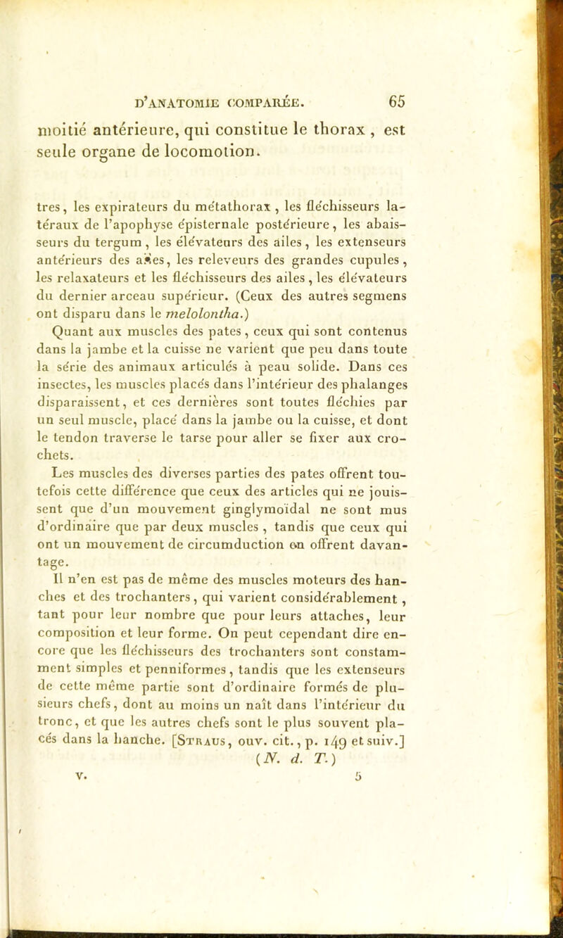 moitié antérieure, qui constitue le thorax , est seule organe de locomotion. très, les expiraleurs du me'tathorax , les fle'chisseurs la- téraux de l’apophyse épisternale postérieure, les abais- seurs du tergum , les élévateurs des ailes , les extenseurs antérieurs des aVIes, les releveurs des grandes cupules, les relaxateurs et les fléchisseurs des ailes, les élévateurs du dernier arceau supérieur. (Ceux des autres segniens ont disparu dans le meloloniha.) Quant aux muscles des pâtes, ceux qui sont contenus dans la jambe et la cuisse ne varient que peu dans toute la série des animaux articulés à peau solide. Dans ces insectes, les muscles placés dans l’intérieur des phalanges disparaissent, et ces dernières sont toutes fléchies par un seul muscle, placé dans la jambe ou la cuisse, et dont le tendon traverse le tarse pour aller se fixer aux cro- chets. Les muscles des diverses parties des pâtes offrent tou- tefois cette différence que ceux des articles qui ne jouis- sent que d’un mouvement ginglymoïdal ne sont mus d’ordinaire que par deux muscles , tandis que ceux qui ont un mouvement de circumduction c.n offrent davan- tage. 11 n’en est pas de même des muscles moteurs des han- ches et des trochanters, qui varient considérablement, tant pour leur nombre que pour leurs attaches, leur composition et leur forme. On peut cependant dire en- core que les fléchisseurs des trochanters sont constam- ment simples et penniformes, tandis que les extenseurs de cette même partie sont d’ordinaire formés de plu- sieurs chefs, dont au moins un naît dans l’intérieur du tronc, et que les autres chefs sont le plus souvent pla- cés dans la hanche. [Straus, ouv. cit., p. 149 etsuiv.] {N. d. T.) V. 5