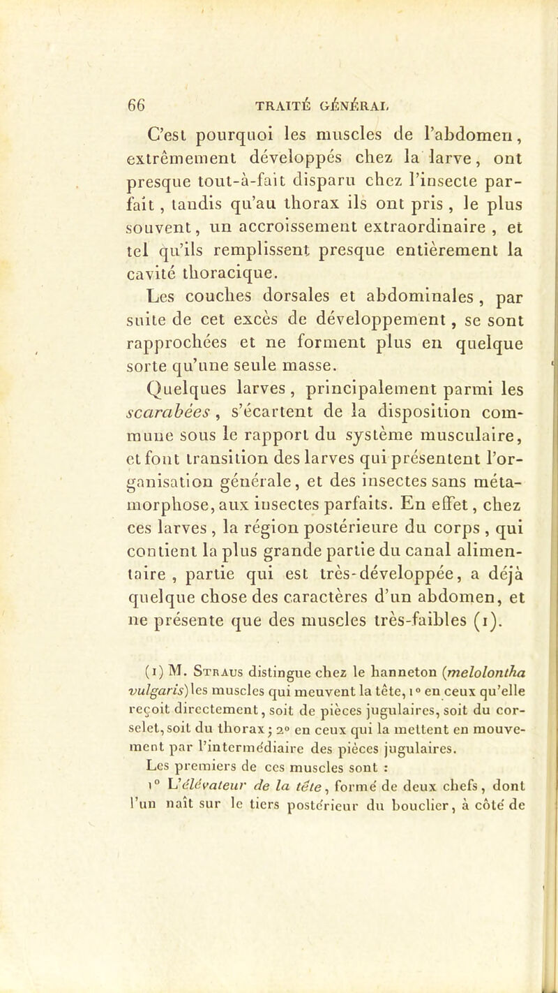 C’est pourquoi les muscles de l’abdomen, extrêmement développés chez la larve, ont presque tout-à-falt disparu chez l’insecte par- lait , taudis qu’au thorax ils ont pris , le plus souvent, un accroissement extraordinaire , et tel qu’ils remplissent presque entièrement la cavité thoracique. Les couches dorsales et abdominales , par suite de cet ex.cès de développement, se sont rapprochées et ne forment plus en quelque sorte qu’une seule masse. Quelques larves , principalement parmi les scarabées , s’écartent de la disposition com- mune sous le rapport du système musculaire, et fout transition des larves qui présentent l’or- ganisation générale, et des insectes sans méta- morphose, aux insectes parfaits. En effet, chez ces larves , la région postérieure du corps , qui contient la plus grande partie du canal alimen- taire , partie qui est très-développée, a déjà quelque chose des caractères d’un abdomen, et ne présente que des muscles très-faibles (i). (i) M. Straus distingue chez le hanneton {melolontha vulgaris)\GS muscles qui meuvent la tête, i® en ceux qu’elle reçoit directement, soit de pièces jugulaires, soit du cor- selet, soit du thorax J a» en ceux qui la mettent en mouve- ment par l’intermddiaire des pièces jugulaires. Les premiers de ces muscles sont : 1° \Jélévateur de la tête ^ forme' de deux chefs, dont l’un naît sur le tiers poste'rieur du bouclier, à côte'de