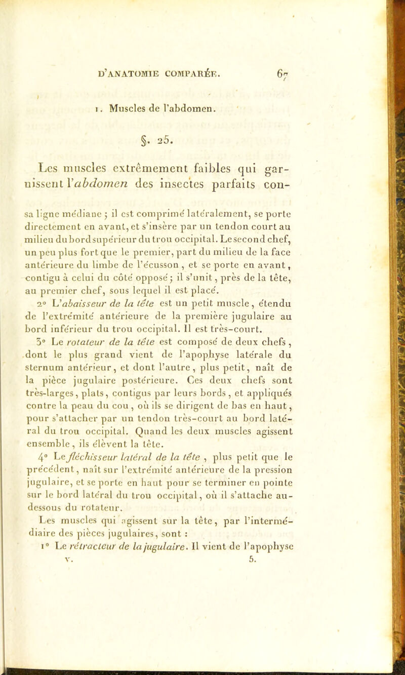 I I. Muscles de l’abdomen. §. 25. Les muscles extrêmement faibles qui gar- nissent Vabdomen des insectes parfaits con- sa ligne médiane 5 il est comprimé late'ralement, se porte directement en avant, et s’insère par un tendon court au milieu dubordsupe'rieur du trou occipital. Lesecondchef, un peu plus fort que le premier, part du milieu de la face ante'rieure du limbe de l’écusson , et se porte en avant, contigu à celui du côté opposé5 il s’unit, près de la tête, au premier chef, sous lequel il est placé. 2“ Uabaisseur de la tête est un petit muscle, étendu de l’extrémité antérieure de la première jugulaire au bord inférieur du trou occipital. 11 est très-court. 3® Le rotateur de la tête est composé de deux chefs , dont le plus grand vient de l’apophyse latérale du sternum antérieur, et dont l’autre, plus petit, naît de la pièce jugulaire postérieure. Ces deux chefs sont très-larges, plats, contigus par leurs bords, et appliqués contre la peau du cou, où ils se dirigent de bas eu haut, pour s’attacher par un tendon très-court au bord laté- ral du trou occipital. Quand les deux muscles agissent ensemble, ils élèvent la tête. 4® Le fléchisseur latéral de la tête , plus petit que le précédent, naît sur l’extrémité antérieure de la pression jugulaire, et se porte en haut pour se terminer eu pointe sur le bord latéral du trou occipital, où il s’attache au- dessous du rotateur. Les muscles qui agissent sur la tête, par l’intermé- diaire des pièces jugulaires, sont : I® Le rétracteur de la jugulaire. Il vient de l’apophyse v. 5.