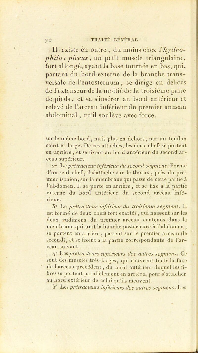 Il existe eu outre , du moins chez Vhjdro- philus piceus, un petit muscle triangulaire, fort allongé, ayant la base tournée en bas, qui, partant du bord externe de la branche trans- versale de renlosiernum, se dirige en dehors de l’extenseur de la moitié de la troisième paire de pieds , et va s’insérer au bord antérieur et relevé de l’arceau inférieur du premier anneau abdominal, qu’il soulève avec force. sur le même bord, mais plus en dehors, par un tendon court et large. De ces attaches, les deux chefs se portent en arrière, et se Axent au bord ante'rieur du second ar- ceau supe'rieur. 2° prétracteur inférieur du second segment. Forme' d’un seul chef, il s’attache sur le thorax , près du pre- mier ischion, sur la membrane qui passe de cette partie à l’abdornen. Il se porte en arrière, et se fixe à la partie externe du bord ante'rieur du second arceau infe'- rieur. 5 Le prétracteur inférieur du troisième segment. 11 est forme' de deux chefs fort e'carte's, qui naissent sur les deux vudimens du premier arceau contenus dans la membrane qui unit la hanche poste'rieure à l’abdomen , se portent en arrière, passent sur le premier arceau (le second), et se fixent à la partie correspondante de l’ar- ceau suivant. 4“ Les prétracteurs supérieurs des autres segmens. Ce sont des muscles très-larges, qui couvrent toute la face de l’arceau pre'ce'dent, du bord ante'rieur duquel les fi- bres se portent parallèlement en arrière, pour s’attacher au bord cxte'rieur de celui qu’ils meuvent. 5° L.GS prétracteurs inférieurs des autres segmens. Les