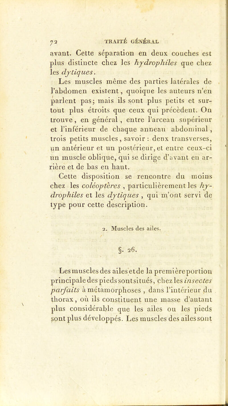 avant. Cette séparation en deux couches est plus distincte chez les hydrophiles que chez les dytiques. Les muscles même des parties latérales de l’abdomen existent, quoique les auteurs n’en parlent pas; mais ils sont plus petits et sur- tout plus étroits que ceux qui précèdent. Ou trouve, en général, entre l’arceau supérieur et l’inférieur de chaque anneau abdominal , trois petits muscles, savoir : deux transverses, un antérieur et un postérieur, et entre ceux-ci un muscle oblique, qui se dirige d’avant en ar- rière et de bas en haut. Cette disposition se rencontre du moins chez les coléoptères , particulièrement les hy- drophiles et les dytiques , qui m’ont servi de type pour cette description. 2. Muscles des ailes. §. 26. Lesmusclesdes ailesetde la première portion principale des pieds soutsitués, chez les insectes parfaits à métamorphoses , dans l’intérieur du thorax, où ils constituent une masse d’autant plus considérable que les ailes ou les pieds sont plus développés. Les muscles des ailes sont