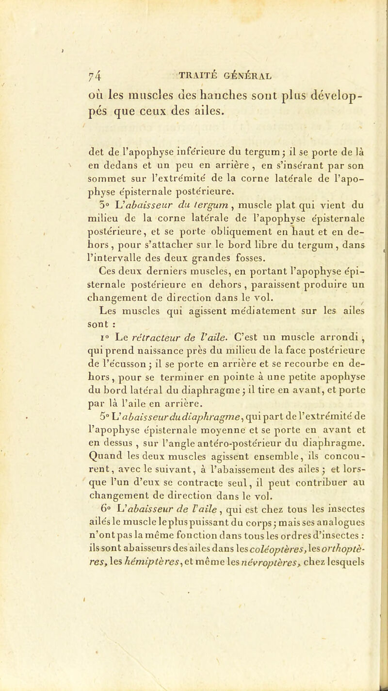 OÙ les muscles des hanches sont plus dévelop- pes que ceux des ailes. det de l’apophyse infe'rieure du tergum j il se porte de là en dedans et un peu en arrière , en s’inse'rant par son sommet sur l’extre'mite de la corne late'rale de l’apo- physe e'pisternale poste'rieure. 5° l^abaisseur du tergum, muscle plat qui vient du milieu de la corne latérale de l’apophyse e'pisternale postérieure, et se porte obliquement en haut et en de- hors , pour s’attacher sur le bord libre du tergum , dans l’intervalle des deux grandes fosses. Ces deux derniers muscles, en portant l’apophyse épi- sternale postérieure en dehors , paraissent produire un changement de direction dans le vol. Les muscles qui agissent médiatement sur les ailes sont : I» Le ré tracteur de l’aile. C’est un muscle arrondi, qui prend naissance près du milieu de la face postérieure de l’écusson -, il se porte en arrière et se recourbe en de- hors, pour se terminer en pointe à une petite apophyse du bord latéral du diaphragme 3 il tire en avant, et porte par là l’aile en arrière. 5“ Uabaisseurdudiaphragmepart de l’extrémité de l’apophyse e'pisternale moyenne et se porte en avant et en dessus , sur l’angle antéro-postérieur du diaphragme. Quand les deux muscles agissent ensemble, ils concou- rent, avec le suivant, à l’abaissement des ailes j et lors- que l’un d’eux se contracte seul, il peut contribuer au changement de direction dans le vol. 6“ Uabaisseur de Vaile, qui est chez tous les insectes ailés le muscle lepluspuissant du corps^ mais ses analogues n’ont pas la même fonction dans tous les ordres d’insectes ; ils sont abaisscurs des ailes dans les coléoptères, les orthoptè- res, les hémiptères.,et même les névroptères,. chez lesquels i