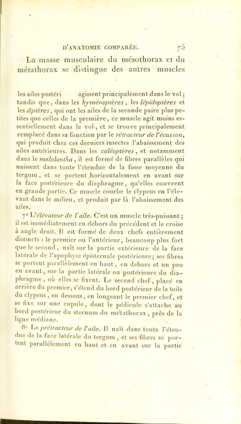 La masse musculaire du mésolhorax et du métalhorax se distingue des autres muscles les ailes poste'ri agissent principalement dans le vol ; tandis que, dans les hyménoptères ^ les lépidoptères et \es diptères, qui ont les ailes de la seconde paire plus pe- tites que celles de la première, ce muscle agit moins es- sentiellement dans le vol', et se trouve principalement remplace' dans sa fonction par le rétracteur de l’écusson^ qui produit chez ces derniers insectes l’abaissement des ailes ante'rieures. Dans les coléoptères, et notamment dans le melolontha , il est forme' de fibres parallèles qui naissent dans toute l’e'tendue de la fosse moyenne du tergnm , et se portent horizontalement en avant sur la face poste'rieure du diaphragme, qu’elles couvrent en grande partie. Ce muscle courbe le clypeus en l’e'le- vant dans le milieu, et produit par là l’abaissement des ailes. 7® élévateur de l'aile. C’est un muscle très-puissant ^ il est immédiatement en dehors du pre'ce'dent et le croise a angle droit. Il est forme' de deux chefs entièrement distincts : le premier ou l’ante'rieur, beaucoup plus fort que le second, naît sur la partie exte'rieure delà face late'rale de l’apophyse e'pisternale poste'rieure; ses fibres se portent parallèlement en haut, en dehors et un peu en avant, sur la partie latérale ou postérieure du dia- phragme , ou elles se fixent. Le second chef, placé en arriéré du premier, s’étend du bord postérieur de la toile du clypeus , en dessous, en longeant le premier chef, et se fixe sur une cupule , dont le pédicule s’attache au bord postérieur du sternum du métathorax , près de la ligne médiane. 8 Le pretracteur de l’aile. Il naît dans toute l’éteii- due de la face latérale du tergum , et ses fibres se por- tent parallèlement en haut et en avant sur la partie