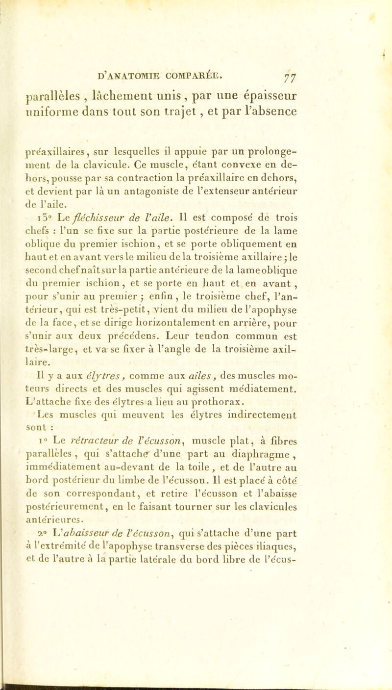 parallèles , lâchement unis , par une épaisseur uniforme dans tout son trajet , et par l’absence prëaxillaires, sur lesquelles il appuie par un prolonge- ment de la clavicule. Ce muscle, étant convexe en de- hors, pousse par sa contraction la préaxillaire en dehors, et devient par là un antagoniste de l’extenseur ante'rieur de l’aile. i5“ Le fléchisseur de l’aile. Il est compose' de trois chefs : l’un se fixe sur la partie poste'rieure de la lame oblique du premier ischion, et se porte obliquement en haut et en avant vers le milieu de la troisième axillaire •, le second chef naîtsur la partie ante'rieure de la lame oblique du premier ischion , et se porte en haut et en avant , pour s’unir au premier ; enfin, le troisième chef, l’an- térieur, qui est très-petit, vient du milieu de l’apophyse de la face, et se dirige horizontalement en arrière, pour s’unir aux deux précédens. Leur tendon commun est très-large, et va se fixer à l’angle de la troisième axil- laire. Il y a aux élytres, comme aux ailes, des muscles mo- teurs directs et des muscles qui agissent raédiatement. I.’attache fixe des élytres a lieu au prothorax. 'Les muscles qui meuvent les élytres indirectement sont : 1® Le rétracteur de Vécusson., muscle plat, à fibres parallèles , qui s’attacher d’une part au diaphragme , immédiatement au-devant de la toile, et de l’autre au bord postérieur du limbe de l’écusson. 11 est placé à côté de son correspondant, et retire l’écusson et l’abaisse postérieurement, en le faisant tourner sur les clavicules antérieures. 2® Ij'ahaisseur de l’écusson., qui s’attache d’une part a l’extrémité de l’apophyse transversc des pièces iliaques, et de l’autre à la partie latérale du bord libre de l’écus-