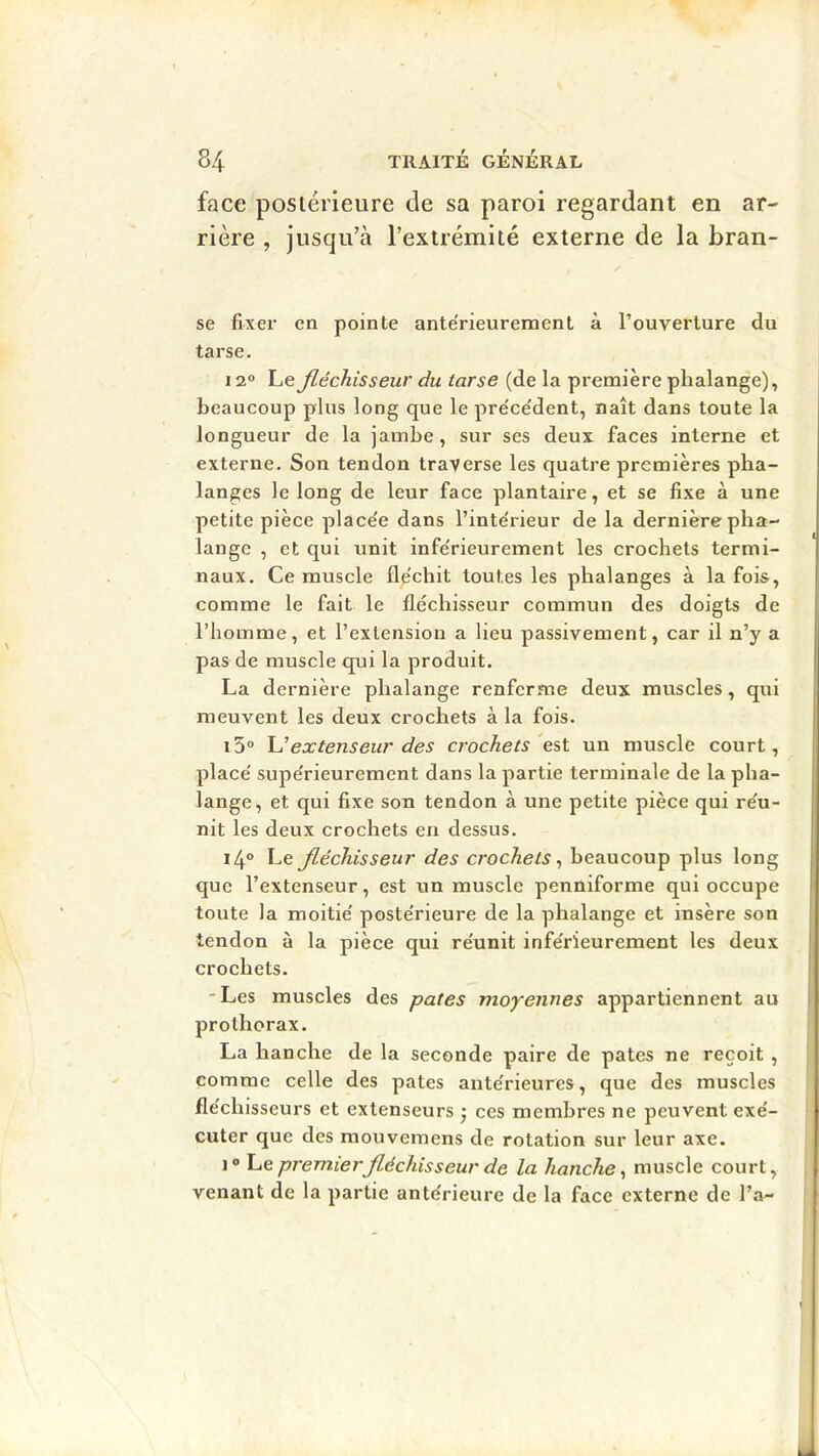 face postérieure de sa paroi regardant en ar- rière , jusqu’à l’extrémité externe de la bran- se fixer en pointe ante'rieurenaent à l’ouverture du tarse. 12® Le fléchisseur du tarse (de la première phalange), beaucoup plus long que le pre'ce'dent, naît dans toute la longueur de la jambe, sur ses deux faces interne et externe. Son tendon traverse les quatre premières pha- langes le long de leur face plantaire, et se fixe à une petite pièce place'e dans l’inte'rieur de la dernière pha- lange , et qui unit infe'rieurement les crochets termi- naux. Ce muscle fle'chit toutes les phalanges à la fois, comme le fait le fléchisseur commun des doigts de l’homme, et l’extension a lieu passivement, car il n’y a pas de muscle qui la produit. La dernière phalange renferme deux muscles, qui meuvent les deux crochets à la fois. i3® U extenseur des crochets'e?,t un muscle court, placé supérieurement dans la partie terminale de la pha- lange, et qui fixe son tendon à une petite pièce qui réu- nit les deux crochets en dessus. 14® Le fléchisseur des crochets^ beaucoup plus long que l’extenseur, est un muscle penniforme qui occupe toute la moitié postérieure de la phalange et insère son tendon à la pièce qui réunit inférieurement les deux crochets. -Les muscles des pâtes moyennes appartiennent au prothorax. La hanche de la seconde paire de pâtes ne reçoit , comme celle des pâtes antérieures, que des muscles fléchisseurs et extenseurs j ces membres ne peuvent exé- cuter que des mouvemens de rotation sur leur axe. I® premier fléchisseur de la hanche, muscle court, venant de la partie antérieure de la face externe de l’a-
