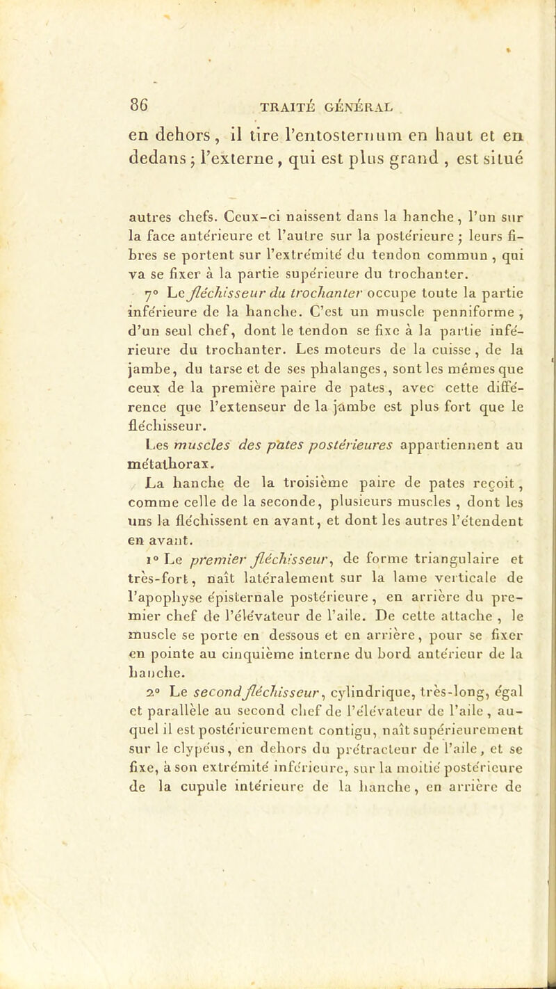 en dehors, il tire rentosiernum en haut et en dedans ; Texterne , qui est plus grand , est situé autres chefs. Ceux-ci naissent dans la hanche, l’un siir la face ante'rieure et l’autre sur la poste'rieure • leurs fi- bres se portent sur l’extre'inite' du tendon commun , qui va se fixer à la partie supe'rieure du trochanter. 7° Le fléchisseur du trochanter occupe toute la partie infe'rieure de la hanche. C’est un muscle penniforme , d’un seul chef, dont le tendon se fixe à la partie infe- rieure du trochanter. Les moteurs de la cuisse, de la jambe, du tarse et de ses phalanges, sont les mêmes que ceux de la première paire de pales, avec cette düFe'- rence que l’extenseur de la jambe est plus fort que le fle'chisseur. Les muscles des pûtes postérieures appartiennent au mètalhorax. La hanche de la troisième paire de pâtes reçoit, comme celle de la seconde, plusieurs muscles , dont les uns la fle'chissenl en avant, et dont les autres l’ètendent en avant. 1° Le premier fléchisseur^ de forme triangulaire et très-fort, naît latéralement sur la lame verticale de l’apophyse e'pisternale poste'rieure , en arrière du pre- mier chef de l’éle'vateur de l’aile. De celte attache , le muscle se porte en dessous et en arrière, pour se fixer en pointe au cinquième interne du bord ante'rieur de la hanche. 2“ Le second fléchisseur ^ c}dindrique, très-long, égal et parallèle au second chef de l’éle'valeur de l’aile, au- quel il est postéi ieuremcnt contigu, naît supérieurement sur le clype'us, en dehors du pre'tracleur de l’aile, et se fixe, a son extrémité inférieure, sur la moitié postérieure de la cupule intérieure de la hanche, en arrière de