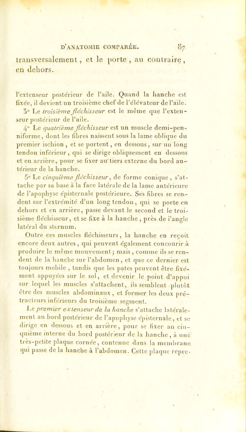 transversalement, et le porte , au contraire, en dehors. l’extenseur poste'rieur de l’aile. Quand la hanche est fixc'e, il devient un troisième chef de l’e'lévateur de l’ailc. 3® Le troisième fléchisseur est le même que l’exteu- seur poste'rieur de l’aile. 4“ Le quatrième fléchisseur est un muscle demi-pen- niforme, dont les fibres naissent sous la lame oblique du premier ischion , et se portent, en dessous, sur un long tendon infe'rieur, qui se dirige obliquement en dessous et en arrière, pour se fixer au'tiers externe du bord an- te'rieur de la hanche. 5® Le cinquième fléchisseur ^ de forme conique, s’at- tache par sa base à la face late'ralc de la lame anterieure de l’apophyse e'pisternale poste'rieure. Ses fibres se ren- dent sur l’extre'mite' d’un long tendon , qui se porte en dehors et en arrière, passe devant le second et le troi- sième fle'chisseur, et se fixe à la hanche , près de i’augle late'ral du sternum. Outre ces muscles fléchisseurs, la hanche en reçoit encore deux autres , qui peuvent e'galement concourir à produire le même mouvement j mais , comme ils se ren- dent de la hanche sur l’abdomen, et que ce dernier est toujours mobile , tandis que les pâtes peuvent être fixe'- raent appuyées sur le sol, et devenir le point d’appui sur lequel les muscles s’attachent, ils semblent plutôt être des muscles abdominaux , et former les doux pré- tracteurs inférieurs du troisième segment. premier extenseur de la hanche s’attache latérale- ment au bord postérieur de l’apophyse épisternalc, et se dirige en dessous et en arrière, pour se fixer au ciu- (piième interne du bord postér;<eur de la hanche , à une' très-petite plaque cornée, contenue dans la membrane, qui passe de la hanche à l’abdomen. Cette plaque repre-