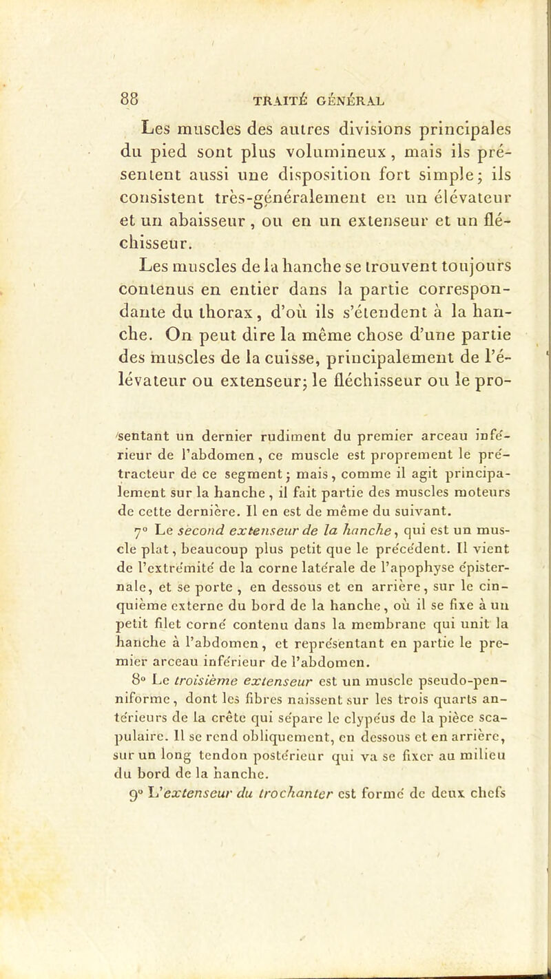 Les muscles des autres divisions principales du pied sont plus volumineux, mais ils pré- sentent aussi une disposition fort simple; ils consistent très-généralement en un élévateur et un abaisseur , ou en un extenseur et un flé- chisseur. Les muscles de la hanche se trouvent toujours contenus en entier dans la partie correspon- dante du thorax, d’où ils s’étendent à la han- che. On peut dire la même chose d’une partie des muscles de la cuisse, principalement de l’é- lévateur ou extenseur; le fléchisseur ou le pre- ssentant un dernier rudiment du premier arceau infe'- rieur de l’abdomen, ce muscle est proprement le pre'- tracteur de ce segment; mais, comme il agit principa- lement sur la hanche , il fait partie des muscles moteurs de cette dernière. Il en est de même du suivant. 7“ Le second extenseur de la hanche^ qui est un mus- cle plat, beaucoup plus petit que le pre'ce'dent. II vient de l’cxtrêmite' de la corne late'rale de l’apophyse e'pister- nale, et se porte , en dessous et en arrière, sur le cin- quième externe du bord de la hanche, où il se fixe à un petit filet corne' contenu dans la membrane qui unit la hanche à l’abdomen, et repre'sentant en partie le pre- mier arceau infe'rieur de l’abdomen. 8“ Le troisième extenseur est un muscle pseudo-pen- niforme, dont les fibres naissent sur les trois quarts an- te'rieurs de la crête qui se'pare le clype'us de la pièce sca- pulaire. Il se rend obliquement, en dessous et en arrière, sur un long tendon poste'rieur qui va se fixer au milieu du bord de la hanche. 9« l'extenseur du trochanter est forme de deux chefs