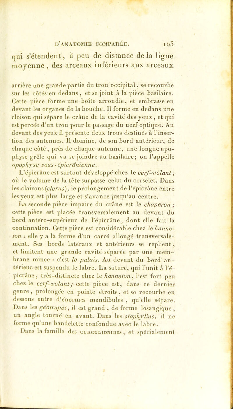 qui s’étendent, à peu de distance delà ligne moyenne , des arceaux inférieurs aux arceaux arrière une grande partie du trou occipital, se recourbe sur les côte's en dedans , et se joint à la pièce basilaire. Cette pièce forme une boîte arrondie, et embrasse en devant les organes de la bouche. Il forme en dedans une cloison qui sépare le crâue de la cavité des yeux , et qui est percée d’un trou pour le passage du nerf optique. Au devant des yeux d présente deux trous destinés à l’inser- tion des antennes. 11 domine, de son bord antérieur, de chaque côté, près de chaque antenne, une longue apo- physe grêle qui va se joindre au basilaire j on l’appelle apophyse sous-épicranienne. L’épicrâne est surtout développé chez le cerf-volant où le volume de la tête surpasse celui du corselet. Dans les clairons {clerus), le prolongement de l’épicrâne entre les yeux est plus large et s’avance jusqu’au centre. La seconde pièce impaire du crâne est le chaperon- cette pièce est placée transversalement au devant du bord antéro-supérieur de l’épicrâne^ dont elle fait la continuation. Cette pièce est considérable chez le hanne- ton : elle y a la forme d’un carré allongé transversale- ment. Ses bords latéraux et antérieurs se replient, et limitent une grande cavité séparée par une mem- brane mince : c’est le palais. Au devant du bord an- térieur est suspendu le labre. La suture, qui l’unit à l’é- picrâtie, très-distincte chez le hanneton., l’est fort peu chez le cerf-volant ; cette pièce est, dans ce dernier genre, prolongée en pointe étroite , et se recourbe en dessous entre d’énormes mandibules , qu’elle sépare. Dans les ge'otrupes, il est grand , de forme losangiquc , un angle tourné en avant. Dans les staphylins, il ne forme qu’une bandelette confondue avec le labre. Dans la famille des curcultonides , et spécialement