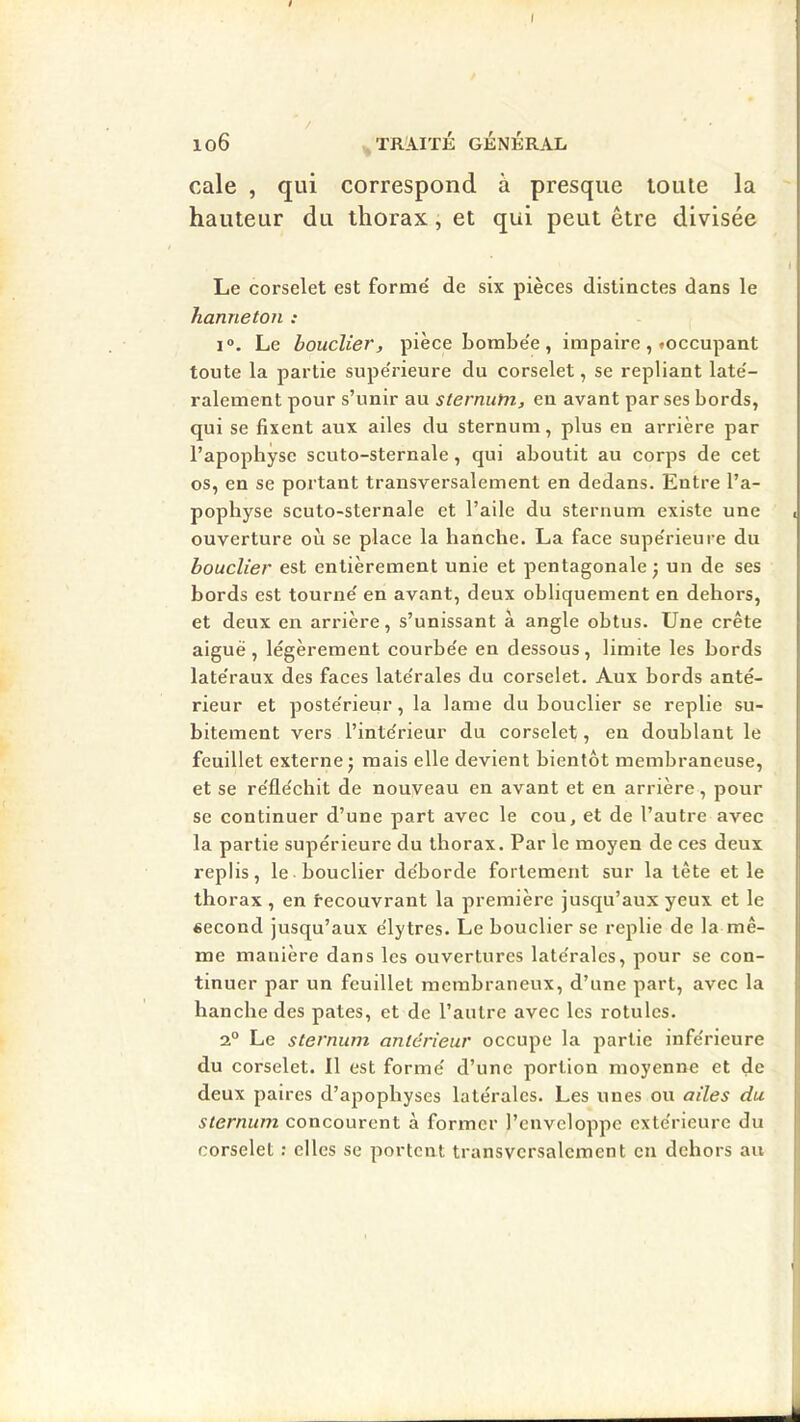 ( 106 ^TRAITÉ GÉNÉRAL cale , qui correspond à presque toute la hauteur du thorax, et qui peut être divisée Le corselet est forme' de six pièces distinctes dans le hanneton : 1°. Le bouclier, pièce bombe'e , impaire , toccupant toute la partie supe'rieure du corselet, se repliant late'- ralement pour s’unir au sternum, en avant par ses bords, qui se fixent aux ailes du sternum, plus en arrière par l’apophyse scuto-sternale, qui aboutit au corps de cet os, en se portant transversalement en dedans. Entre l’a- pophyse scuto-sternale et l’aile du sternum existe une ouverture où se place la hanche. La face supe'rieure du bouclier est entièrement unie et pentagonale j un de ses bords est tourne' en avant, deux obliquement en dehors, et deux en arrière, s’unissant à angle obtus. Une crête aiguë, légèrement courbe'e en dessous, limite les bords late'raux des faces late'rales du corselet. Aux bords anté- rieur et poste'rieur, la lame du bouclier se replie su- bitement vers l’intérieur du corselet, en doublant le feuillet externe J mais elle devient bientôt membraneuse, et se réfléchit de nouveau en avant et en arrière, pour se continuer d’une part avec le cou, et de l’autre avec la partie supérieure du thorax. Par le moyen de ces deux replis, le bouclier déborde fortement sur la tête et le thorax , en tecouvrant la première jusqu’aux yeux et le second jusqu’aux élytres. Le bouclier se replie de la mê- me manière dans les ouvertures latérales, pour se con- tinuer par un feuillet membraneux, d’une part, avec la hanche des pâtes, et de l’autre avec les rotules. 2° Le sternum antérieur occupe la partie inférieure du corselet. Il est formé d’une portion moyenne et de deux paires d’apophyses latérales. Les unes ou ailes du sternum concourent à former l’enveloppe extérieure du corselet : elles se portent transversalement en dehors au