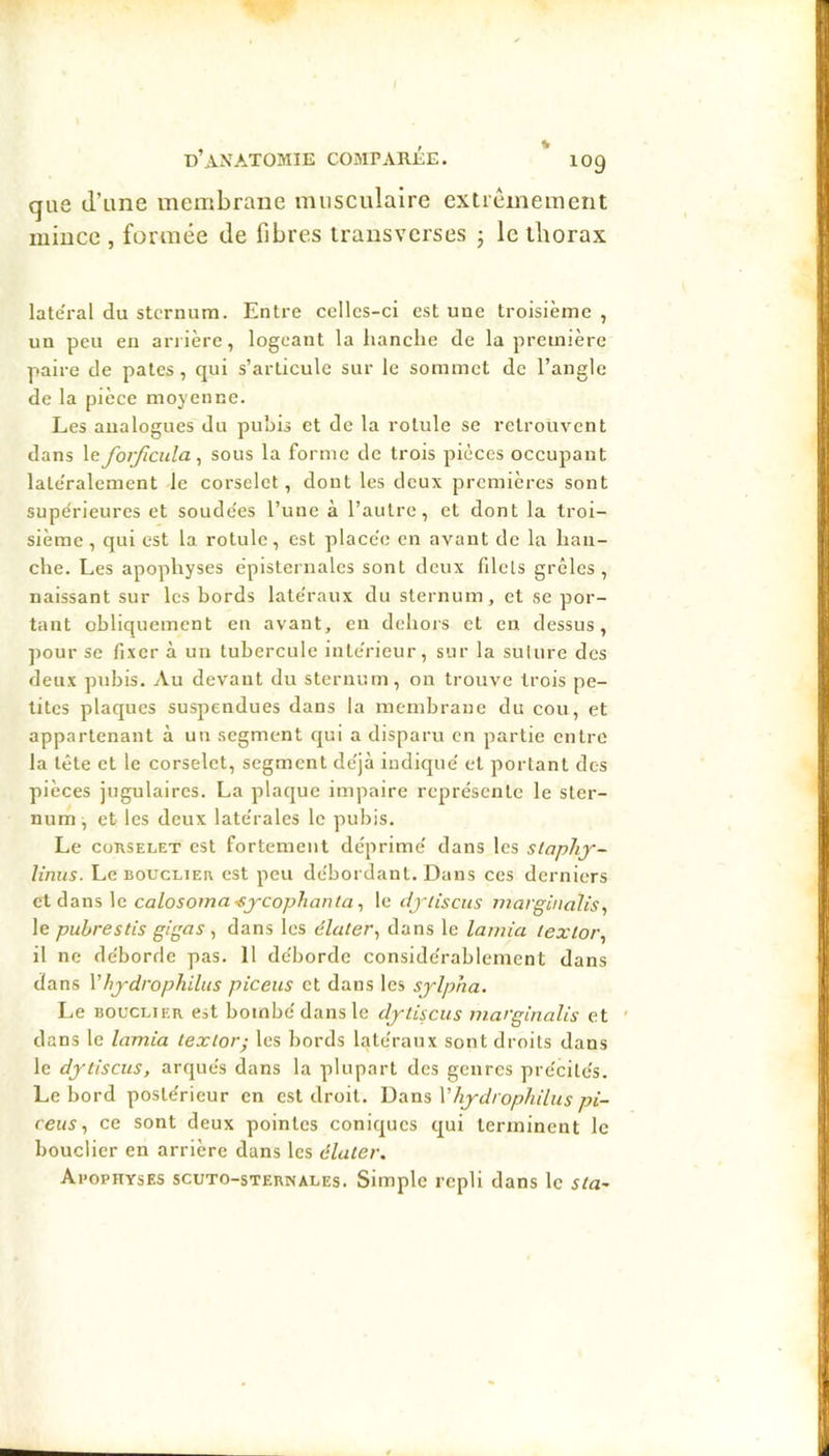 , , * DANATOMIE COMPAREE. IO9 que d’une membrane musculaire extrêmement mince , formée de fibres transverses 5 le thorax latéral du sternum. Entre celles-ci est une troisième , un peu en arrière, logeant la hanche de la première paire de pâtes , qui s’articule sur le sommet de l’angle de la pièce moyenne. Les analogues du pubis et de la rotule se retrouvent dans le foijlcula ^ sous la forme de trois pièces occupant late'ralement le corselet, dont les deux premières sont supérieures et soude'es l’une à l’autre, et dont la troi- sième, qui est la. rotule, est placée en avant de la han- che. Les apophyses épisternalcs sont deux filets grêles , naissant sur les bords latéraux du sternum, et se por- tant obliquement en avant, en dchois et en dessus, pour se fixer à un tubercule intérieur, sur la suture des deux pubis. Au devant du sternum, on trouve trois pe- tites plaques suspendues dans la membrane du cou, et appartenant à un .segment qui a disparu en partie entre la tête et le corselet, segment déjà indiqué et portant des pièces jugulaires. La plaque impaire représente le ster- num, et les deux latérales le pubis. Le consELET est fortement déprimé dans les slaphj- linus. Le BOUCLIER est peu débordant. Dans ces derniers c\. àan%\c. calosomasj-cophanta^ le dj-lisciis margùiah's, le pubrestis gigas , dans les élaler^ dans le larnia lexloi\ il ne déborde pas. 11 déborde considérablement dans dans Vhj-drophilus piceus et dans les sylpha. Le BOUCLIER est bombé dans le dytiscus marginalis et ' dans le lamia lextor; les bords latéraux sont droits dans le dytiscus, arqués dans la plupart des genres précités. Le bord postérieur en est droit. 'DamVhydrophilus pi- ceus ^ ce sont deux pointes coniques qui terminent le bouclier en arrière dans les élater. Apophyses scuto-sternales. Simple repli dans le sta-