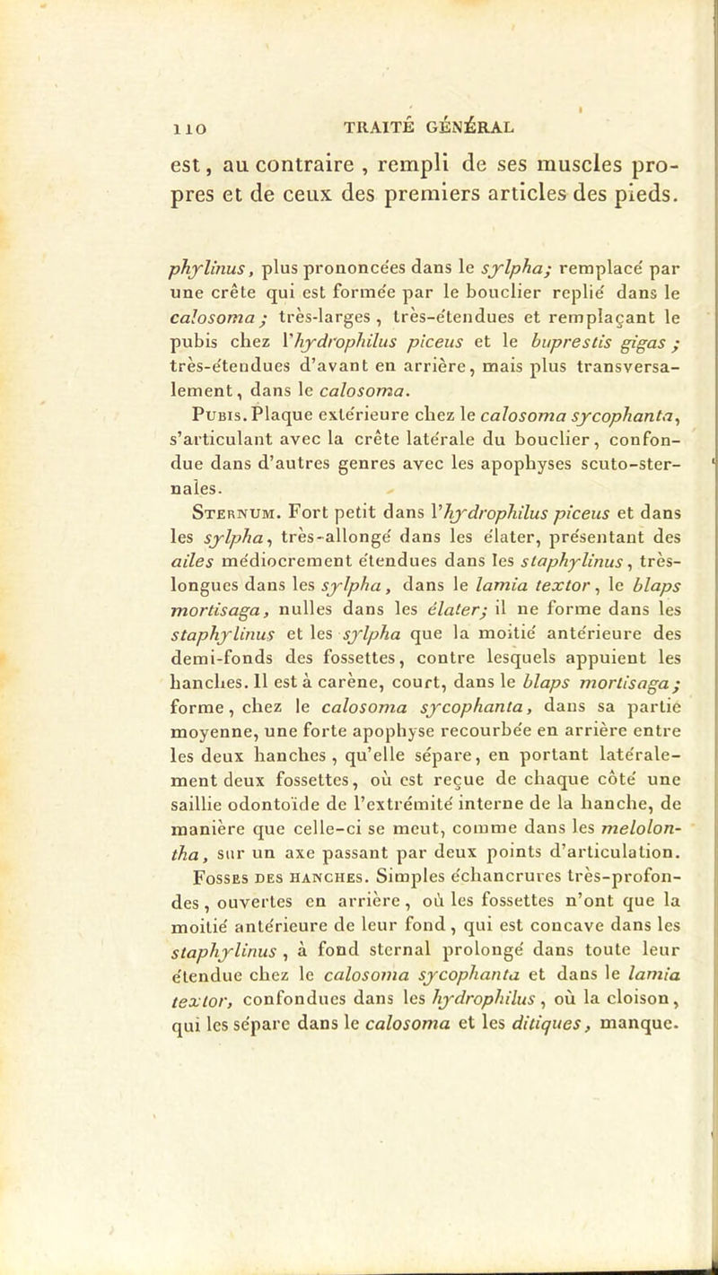 1 iO est, au contraire , rempli de ses muscles pro- pres et de ceux des premiers articles des pieds. phylinus, plus prononcées dans le sjlpha; remplacé par une crête qui est formée par le bouclier replié dans le calosoma ; très-larges, très-étendues et remplaçant le pubis chez Vhydrophiliis piceus et le huprestis gigas ; très-éteudues d’avant en arrière, mais plus transversa- lement, dans le calosoma. Pubis. Plaque extérieure chez le calosoma sycophanta^ s’articulant avec la crête latérale du bouclier, confon- due dans d’autres genres avec les apophyses scuto-ster- naies. Sternum. Fort petit dans Vhydrophilus piceus et dans les sylpha^ très-allongé dans les élater, présentant des ailes médiocrement étendues dans les slaphylinus ^ très- longues dans les sylpha, dans le lamia textor, le blaps mortisaga, nulles dans les élater; il ne forme dans les staphylinus et les sylpha que la moitié antérieure des demi-fonds des fossettes, contre lesquels appuient les hanches. 11 est à carène, court, dans le hlaps mortisaga ; forme, chez le calosoma sycophanta, dans sa partie moyenne, une forte apophyse recourbée en arrière entre les deux hanches, qu’elle sépare, en portant latérale- ment deux fossettes, où est reçue de chaque côté une saillie odontoïde de l’extrémité interne de la hanche, de manière que celle-ci se meut, comme dans les melolon- iha, sur un axe passant par deux points d’articulation. Fosses des hanches. Simples échancrures très-profon- des , ouvertes en arrière, où les fossettes n’ont que la moitié antérieure de leur fond, qui est concave dans les staphylinus , à fond sternal prolongé dans toute leur étendue chez le calosoma sycophanta et dans le lamia textor, confondues dans les hydrophilus, où la cloison, qui les sépare dans le calosoma et les ditiques, manque.