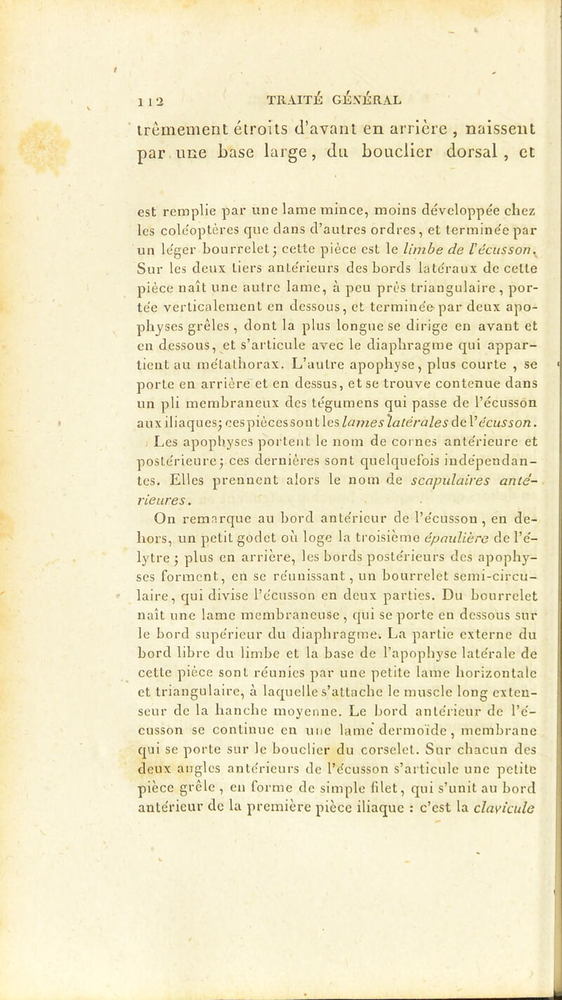 TRAITÉ: ci-VliRAL irêmement étroits d’avant en arrière , naissent par une hase large, du bouclier dorsal , et est remplie par une lame mince, moins développée chez les cole'optères que clans d’autres ordres, et termine'epar un le'ger bourrelet; cette pièce est le limbe de l’écusson._ Sur les deux tiers antérieurs des bords latéraux de celle pièce naît une autre lame, à peu près triangulaire, por- tée verticalement en dessous, et termine'epar deux apo- physes grêles , dont la plus longue se dirige en avant et en dessous, et s’articule avec le diaphragme ejui appar- tient au métalhorax. L’autre apophyse, plus courte , se porte en arrière et en dessus, et se trouve contenue dans un pli membraneux des tégumens qui passe de l’écusson aux iliaques; oespiècesson t les lames latérales de l’écu55on. I Les apophyses portent le nom de cornes antérieure et postérieure; ces dernières sont quelquefois indépendan- tes. Elles prennent alors le nom de scapulaires anté- rieures . On remarque au bord antérieur de l’écusson, en de- hors, un petit godet où loge la troisième épauUère de l’é- lytre ; plus en arrière, les bords postérieurs des apophy- ses forment, en se réunissant, un bourrelet semi-circu- laire, c]ui divise l’écusson en deux parties. Du bourrelet naît une lame membraneuse, qui se porte eu dessous sur le bord supérieur du diaphragme. La partie externe du bord libre du limbe et la base de l’apophyse latérale de cette pièce sont réunies par une petite lame horizontale et triangulaire, à lacpielle s’attache le muscle long exteu- scur de la hanche moyenne. Le bord antérieur de l’é- cusson se continue en une lamé dermoïde, membrane C|ui se porte sur le bouclier du corselet. Sur chacun des deux angles antérieurs de l’écusson s’articule une petite pièce grêle , en forme de simple filet, qui s’unit au bord antérieur de la première pièce iliaque : c’est la clavicule