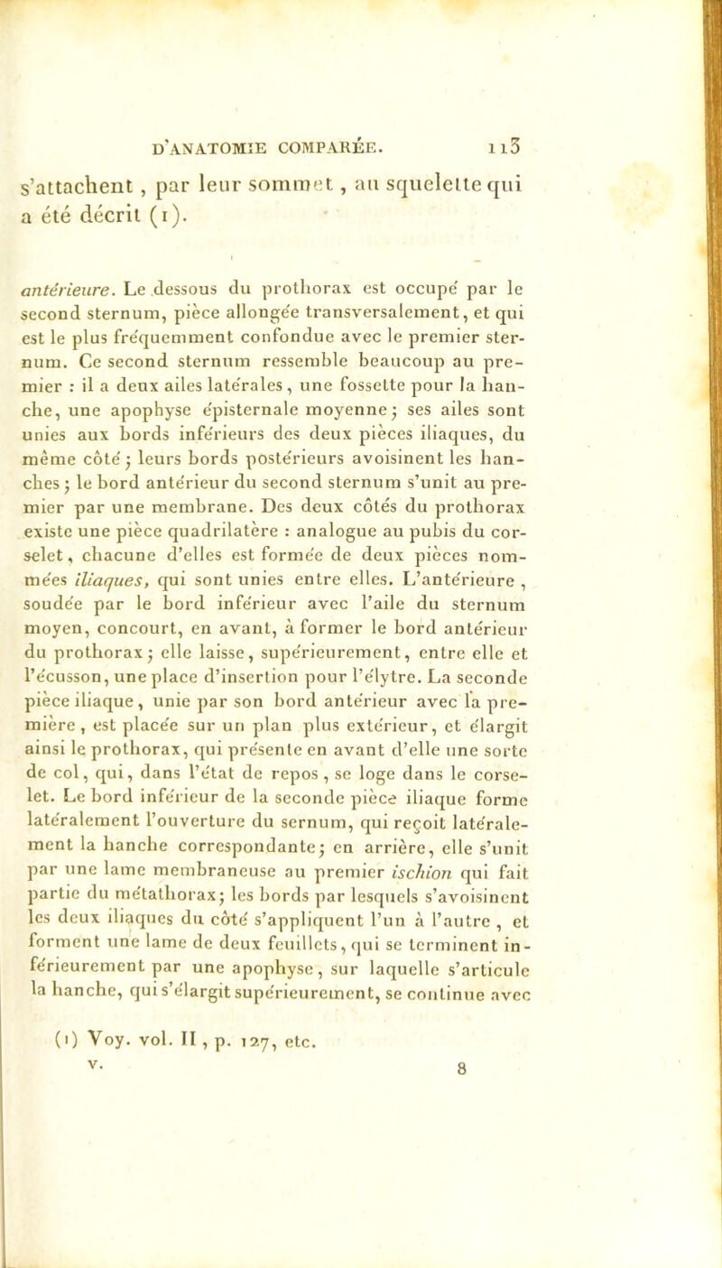 s’attachent , par leur sommet, au squelette qui a été décrit (i). antérieure. Le dessous du jDiolliorax est occupe' par le second sternum, pièce allonge'e transversalement, et qui est le plus fre'quemment confondue avec le premier ster- num. Ce second sternum ressemble beaucoup au pre- mier : il a deux ailes late'rales , une fossette pour la han- che, une apophyse e'pisternale moyenne j ses ailes sont unies aux hords infe'rieurs des deux pièces iliaques, du même côte'^ leurs bords poste'rieurs avoisinent les han- ches J le bord antérieur du second sternum s’unit au pre- mier par une membrane. Des deux côtés du prothorax existe une pièce quadrilatère : analogue au pubis du cor- selet , chacune d’elles est formée de deux pièces nom- mées iliaques, qui sont unies entre elles. L’antérieure , soudée par le bord inférieur avec l’aile du sternum moyen, concourt, en avant, à former le bord antérieur du prothorax J elle laisse, supérieurement, entre elle et l’écusson, une place d’insertion pour l’élytre. La seconde pièce iliaque , unie par son bord antérieur avec la pre- mière, est placée sur un plan plus extérieur, et élargit ainsi le prothorax, qui présente en avant d’elle une sorte de col, qui, dans l’état de repos , se loge dans le corse- let. Le bord inférieur de la seconde pièce iliaque forme latéralement l’ouverture du sernum, qui reçoit latérale- ment la hanche correspondante; en arrière, elle s’unit par une lame membraneuse au premier ischion qui fait partie du métathorax; les bords par lesquels s’avoisinent les deux iliaques du côté s’appliquent l’un à l’autre , et forment une lame de deux feuillets, <jui se terminent in- férieurement par une apophyse, sur laquelle s’articule la hanche, qui s’élargit supérieurement, se continue avec (t) Voy. vol. II , p. 127, etc. 8