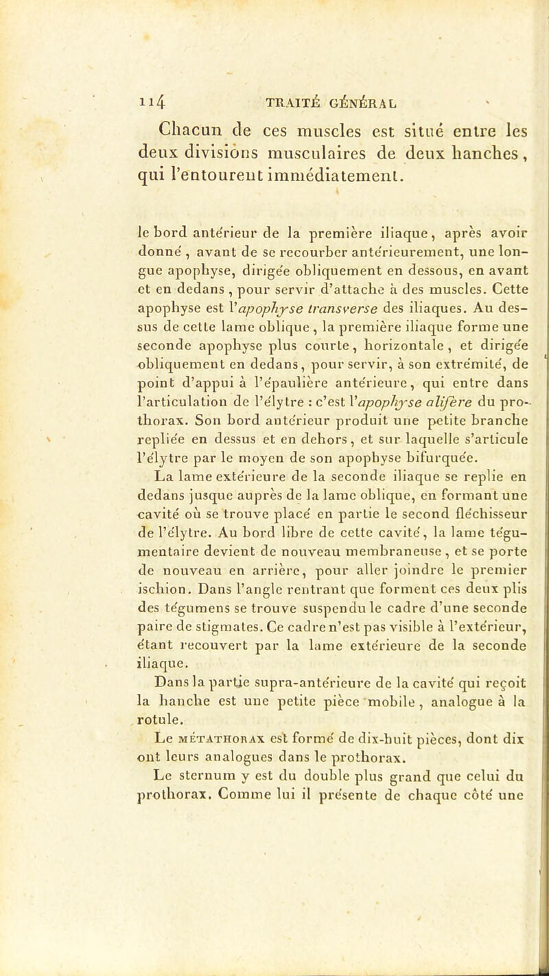 Chacun de ces muscles est situé entre les deux divisions musculaires de deux hanches, qui l’entourent immédiatemenl. le bord ante'rieur de la première iliaque, après avoir donne', avant de se recourber ante'rieurement, une lon- gue apophyse, dirige'e obliquement en dessous, en avant et en dedans , pour servir d’attache à des muscles. Cette apophyse est Vapophyse iransverse des iliaques. Au des- sus de cette lame oblique , la première iliaque forme une seconde apophyse plus courte, horizontale, et dirige'e obliquement en dedans, pour servir, à son extre'mite', de point d’appui à l’e'paulière ante'rieure, qui entre dans l’articulation de l’e'ly tre : c’est Vapophyse alifère du pro- thorax, Son bord ante'rieur produit une petite branche replie'e en dessus et en dehors, et sur laquelle s’articule l’e'ljtre par le moyen de son apophyse bifurque'e. La lame exte'rieure de la seconde iliaque se replie en dedans jusque auprès de la lame oblique, en formant une cavité où se trouve place' en partie le second fle'chisseur de l’e'lytre. Au bord libre de cette cavité', la lame te'gu- mentaire devient de nouveau membraneuse , et se porte de nouveau en arrière, pour aller joindre le premier ischion. Dans l’angle rentrant que forment ces deux plis des te'gumens se trouve suspendu le cadre d’une seconde paire de stigmates. Ce cadre n’est pas visible à l’exte'rieur, e'tant l'ecouvert par la lame exte'rieure de la seconde iliaque. Dans la partie supra-ante'rieure de la cavité' qui reçoit la hanche est une petite pièce mobile, analogue à la rotule. Le MÉTATHORAx csl forme' de dix-huit pièces, dont dix ont leurs analogues dans le prothorax. Le sternum y est du double plus grand que celui du prolhorax. Comme lui il pre'sente de chaque côte' une