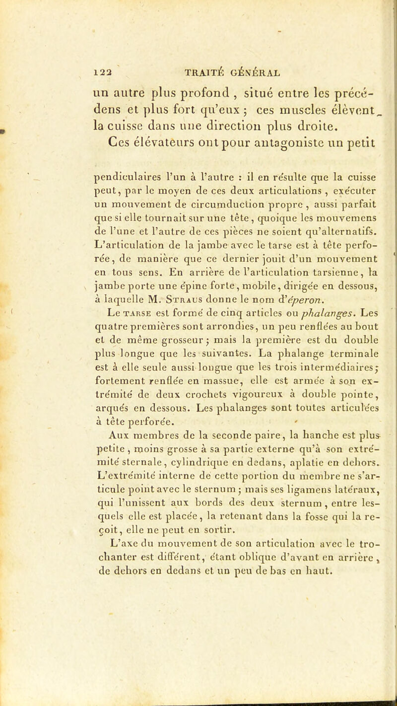 un autre plus profond , situé entre les précé- dens et plus fort qu’eux; ces muscles élèvent^ la cuisse dans une direction plus droite. Ces élévateurs ont pour antagoniste un petit pendiculaires l’un à l’autre : il en re'sulte que la cuisse peut, par le moyen de ces deux articulations , exe'cuter un mouvement de circumduction propre , aussi parfait que si elle tournait sur une tête, quoique les mouvemens de l’une et l’autre de ces pièces ne soient qu’alternatifs. L’articulation de la jambe avec le tarse est à tête perfo- rée, de manière que ce dernier jouit d’un mouvement * en tous sens. En arrière de l’articulation tarsienne, la jambe porte une e'pine forte, mobile, dirige'e en dessous, à laquelle M. Straus donne le nom à'éperon. Le TARSE est forme' de cinq articles eu phalanges. Les quatre premières sont arrondies, un peu renfle'es au bout et de même grosseur; mais la première est du double plus longue que les suivantes. La phalange terminale est à elle seule aussi longue que les trois interme'diaires; fortement renfle'e en massue, elle est arme'e à sort ex- tre'mité de deux crochets vigoureux à double pointe, arque's en dessous. Les phalangcs^ sont toutes articule'es à tête perfore'e. Aux membres de la seconde paire, la hanche est plus^ petite , moins grosse à sa partie externe qu’à son extre'- mite' sternale, cylindrique en dedans, aplatie en dehors. L’extre'mité interne de cette portion du membre ne s’ar- ticule point avec le sternum ; mais ses ligamens late'raux, qui l’unissent aux bords des deux sternum , entre les- quels elle est place'e, la retenant dans la fosse qui la re- | çoit, elle ne peut en sortir. L’axe du mouvement de sou articulation avec le tro- | chanter est différent, étant oblique d’avant en arrière , de dehors en dedans et un peu de bas en haut.