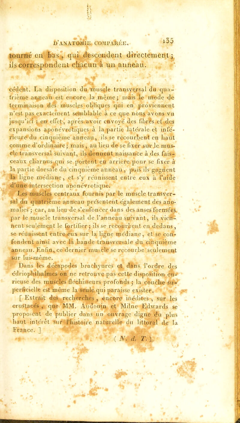 D’A-\ATOmiIi. COWi’AkliE, tourné en bas* qui descoudent direciemenlj ils correspondeul chacun à un anneau, cèdent. La disposition du înusçle transversal du cpia- frième aruieau est encore la mèmcj mais le mode de terminaison de^ muscles obliques qui en proviennent n’est pas^exactement semblable à ce que nous avons vu jusqu’icï : en-elTet, après, avoir envoyé' des fibrSs et des expansions apone'vro'tiques à la partie late'rale et infe'- rieuré“du cinqiiième anneau, ils se recourbent en liaut comme d’ordinaire j mais , au lieu de se fixer sur Je mus- cle transversal suivant, ils donnent naissance à des fais- ceaux charnus,,j:]ui se portent en arrière pour se fixer à la partie dorsale du cinquième anneau , puis ils gagnent la ligne médiane, et s’y réunissent entre eux à l’aide d’une intersection aponévrotique. Les muscles centraux fournis par le muscle transver- sal du quatrième anneau présentent également des ano- malies’; car, au lieu de s’enfoncer dans des anses formées, par le muscle transversal de l’anneau suivant, ils vien- nent sculeme.nt le Cprtifier ; ils se recourbent en dedans , se réunissent entre-.èux sur la ligne médiane, et se con- fondent ainsi avec Ja Lande transversale du cinquième annejau. Enfin, ce dernier muscle se recourbe seulement sur lui-même. Dans les décapodes brachyurcs et dans l’ordre des édriophlbalmes on ne retrouve pas cette disposition cu-^ rieuse des muscles fléchisseurs profonds ; la couche su- perficielle est même la seule qui paraisse exister. [ Extrait des recherches , encore inédites , sur les crustacés , que MM. Aucîouin et Milnc Edwards se propo,<éflt de publier dans un ouvrage digne du plus haut intérêt sur l’histoire naturelle du littoral de la France. ] ( N. cl. T. )
