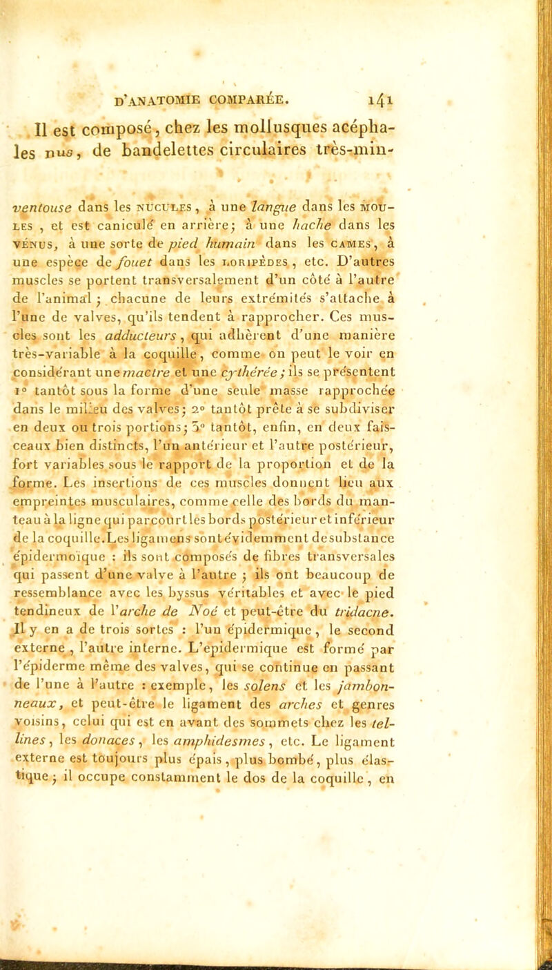 Il est composé, chez les mollusques acépha- les vus, de bandelettes circulaires tFès-min- ♦ • ventouse dans les nuculjes , aune langue dans les mou- les , et est caniculd en arrière; à une hache dans les VÉNUS, à une sorte de /znmni'n dans les cames , à une espèce de fouet dans les i.oripèdes , etc. D’autres muscles se portent transversalement d’un côte à l’autre de l’animal ; chacune de leurs exlre'mite's s’attache à l’une de valves, qu’ils tendent à rapprocher. Ces mus- cles sont les adducteurs ^ qui adhèi ent d’une manière très-variable à la coquille, comme-on peut le voir en conside'rant unemactre et une cjlhérte; se prc'sçntçnt I® tantôt sous la forme d’une_ s’eule masse rapproche'e dans le milieu des valves; a® tantôt prête à se subdiviser en deux ou trois portions; â® tantôt, enfin, en deux fais- ceaux bien distincts, l’un ante'rieur et l’autre postérieur, fort variables.sous le'rapport de la proportioii et de la forme. Les insertions de ces muscles donnent lieu aux epiprein^cs musculaires, commefelle des bords du man- teau à la ligne qui parcourtles bords p^b^térieur et inferieur de la coquille.Les ligamens’sônte'videmmenl desubstance e'pidermoique : ils sont.compose's de fibres transversales qui passent d’une valve à l’aulr,e ; ils ont beaucoup de ressemblance avec les byssus ve'riiables et avec-le pied tendineux de Varche de Noç et peut-être du tridacne. H y en a de trois sortes : l’un e'pidermiquç, le second e*xterne , l’autre interne. L’epidermique est formé par l’e'piderme même des valves, qui se continue en passant de l’une à l’autre : exemple, les solens et les Jambon- neaux, et peut-être le ligament des arches et genres voisins, celui qui est en avant des sommets chez les tel- lines y les donaces ^ les amphidesmes ^ etc. Le ligament externe est toujours plus c'pais, plus bombe', plus e'ias.- tique ; il occupe constamment le dos de la coquille, en