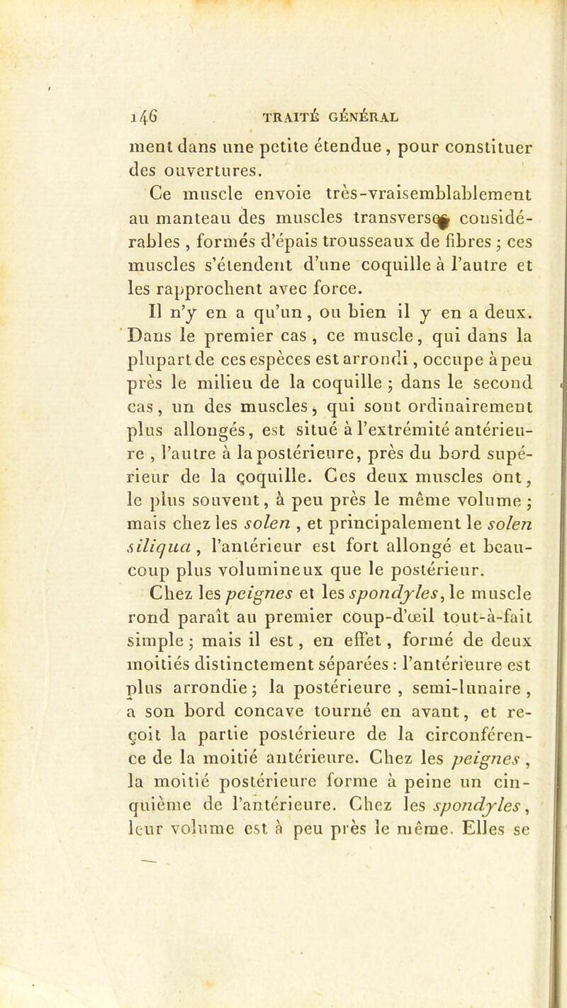 ment dans une petite étendue, pour constituer des ouvertures. Ce muscle envoie très-vraisemblablement au manteau des muscles Iransversq^ considé- rables , formés d’épais trousseaux de fibres -, ces muscles s’étendent d’une coquille à l’autre et les rapprochent avec force. Il n’y en a qu’un, ou bien il y en a deux. Dans le premier cas , ce muscle, qui dans la plupart de ces espèces est arrondi, occupe à peu près le milieu de la coquille ; dans le second cas, un des muscles j qui sont ordinairement plus allongés, est situé à l’extrémité antérieu- re , l’autre à la postérieure, près du bord supé- rieur de la çoquille. Ces deux muscles ont, le plus souvent, à peu près le même volume ; mais chez les solen , et principalement le solen siliqua , l’antérieur est fort allongé et beau- coup plus volumineux que le postérieur. Chez les peignes et spondjles,\e muscle rond paraît au premier coup-d’œil tout-à-fait simple ; mais il est, eu effet, formé de deux moitiés distinctement séparées : l’antérieure est pins arrondie; la postérieure, semi-lunaire, a son bord concave tourné en avant, et re- çoit la partie postérieure de la circonféren- ce de la moitié antérieure. Chez les peignes , la moitié postérieure forme à peine un cin- quième de l’antérieure. Chez spondjles ^ leur volume est à peu près le même. Elles se