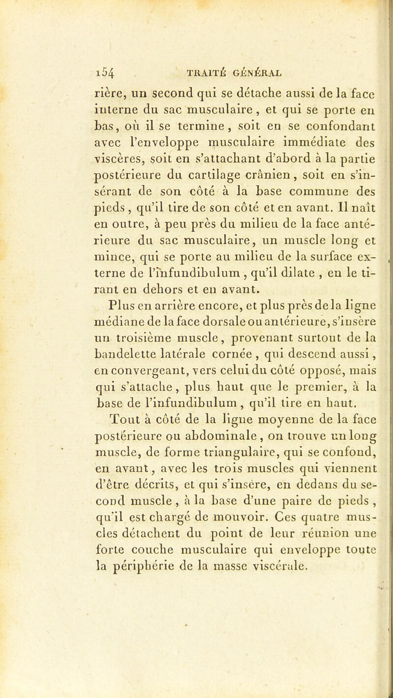 rière, un second qui se détache aussi de la face itiierne du sac musculaire , et qui se porte en bas, où il se termine, soit en se confondant avec l’enveloppe rnusculaire immédiate des viscères, soit en s’attachant d’abord à la partie postérieure du cartilage crânien, soit en s’in- sérant de son côté à la base commune des pieds , qu’il tire de son côté et en avant. Il naît en outre, à peu près du milieu de la face anté- rieure du sac musculaire, un muscle long et mince, qui se porte au milieu de la surface ex- terne de l’mfundibulum , qu’il dilate , en le ti- rant en dehors et en avant. Plus en arrière encore, et plus près delà ligne médiane de la face dorsale ou antérieure, s’insère un troisième muscle, provenant surtout de la bandelette latérale cornée , qui descend aussi, en convergeant, vers celui du côté opposé, mais qui s’attache, plus haut que le premier, à la base de l’infundibulum, qu’il tire en haut. Tout à côté de la ligne moyenne de la face postérieure ou abdominale , on trouve un long muscle, de forme triangulaire, qui se confond, en avant, avec les trois muscles qui viennent d’être décrits, et qui s’insère, en dedans du se- cond muscle , à la base d’une paire de pieds , qu’il est chargé de mouvoir. Ces quatre mus- cles détachent du point de leur réunion une forte couche musculaire qui enveloppe toute la périphérie de la masse viscérale.