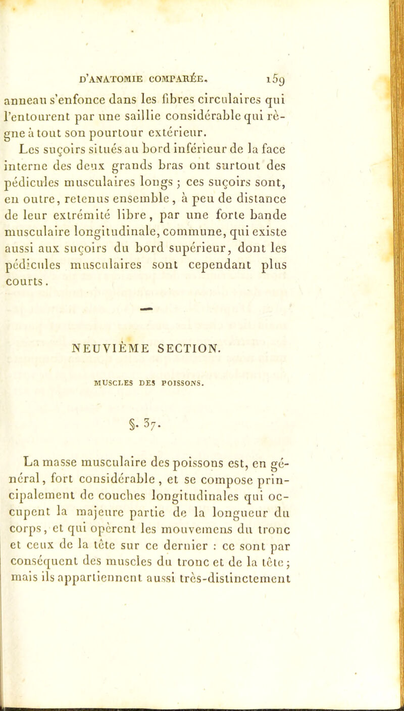 anueau s’enfonce dans les fibres circiilaires qui renlOLirent par une saillie considérable qui rè- gne à tout son pourtour extérieur. Les suçoirs situés au bord inférieur de la face interne des deux grands bras ont surtout des pédicules musculaires longs 5 ces suçoirs sont, en outre, retenus ensemble , à peu de distance de leur extrémité libre, par une forte bande musculaire longitudinale, commune, qui existe aussi aux suçoirs du bord supérieur, dont les pédicules musculaires sont cependant plus courts. NEUVIÈME SECTION. musci.es des poissons. §. 37. La masse musculaire des poissons est, en gé- néral, fort considérable , et se compose prin- cipalement de couches longitudinales qui oc- cupent la majeure partie de la longueur du corps, et qui opèrent les mouvemcns du tronc et ceux de la tète sur ce dernier : ce sont par conséquent des muscles du tronc et de la ictej mais ils appartiennent aussi très-distinctement