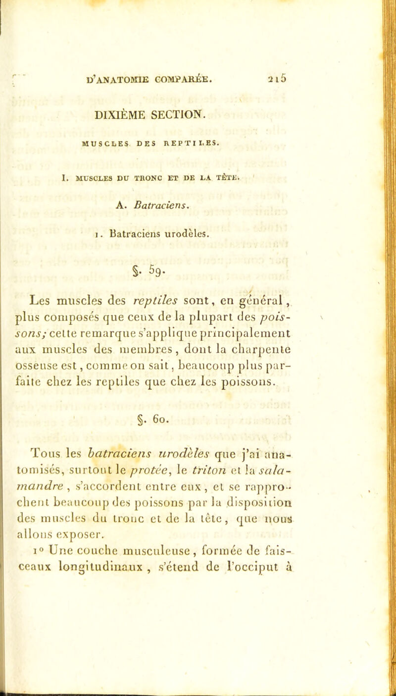DIXIÈME SECTION. MUSCLES DES REPTILES, 1. MUSCLES DU ÏBONC ET DE LA TÊTE. A. Batraciens. 1. Batraciens urodèles. §• 5g. Les muscles des reptiles sont, en général, plus composés que ceux de la plupart des pois- sons; celte remarque s’applique principalement aux muscles des membres, dont la charpente osseuse est, comme on sait, beaucoup plus par- faite chez les reptiles que chez les poissons. §. 6o. Tous les batraciens urodèles que j’ai ana- tomisés, surtout le protée, le triton et Vascda- rnandre , s’accordent entre eux, et se rappro - chent beaucoup des poissons par la disposition des muscles du troue et de la tête, que nous . allons exposer. 1° Une couche musculeuse, formée de fals- • ceaux longitudinaux , .s’étend de l’occiput à