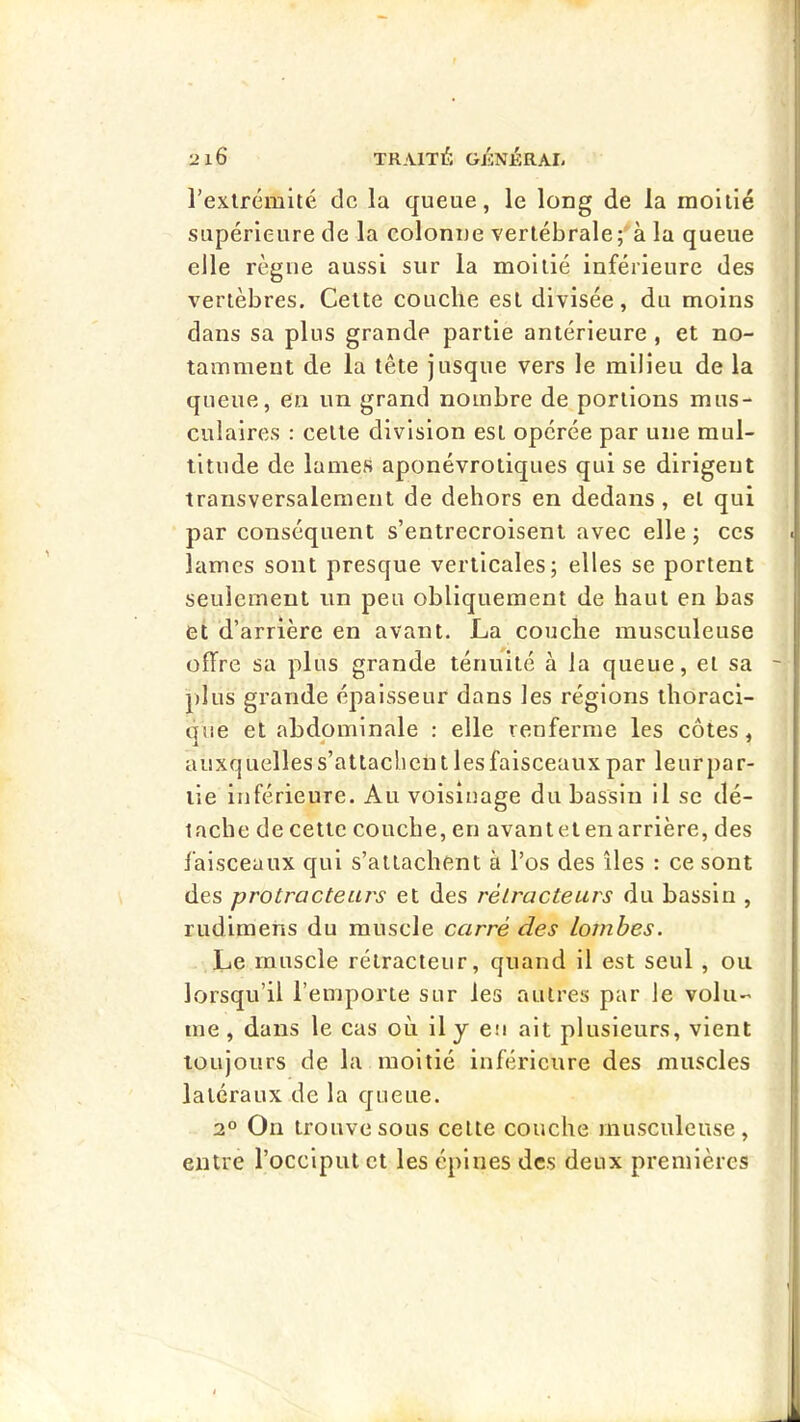 l’exlrémlté de la queue, le long de la moitié supérieure de la colonne vertébrale;'à la queue elle règne aussi sur la moitié inférieure des vertèbres. Cette couche est divisée, du moins dans sa plus grande partie antérieure, et no- tamment de la tête jusque vers le milieu de la queue, en un grand nombre de portions mus- culaires : cette division est opérée par une mul- titude de lames aponévrotiques qui se dirigent transversalement de dehors en dedans, et qui par conséquent s’entrecroisent avec elle; ces lames sont presque verticales; elles se portent seulement un peu obliquement de haut en bas et d’arrière en avant. La couche musculeuse offre sa plus grande ténuité à la queue, et sa j)lus grande épaisseur dans les réglons thoraci- que et abdominale : elle renferme les côtes, auxquelles s’attachent les faisceaux par leurpar- lie inférieure. Au voisinage du bassin il se dé- tache de cette couche, en avant et en arrière, des faisceaux qui s’attachent à l’os des îles : ce sont des protracteurs et des réiracteurs du bassin , rudimens du muscle carré des lombes. Le muscle rétracteur, quand il est seul , ou lorsqu’il l’emporte sur les autres par le volu- me , dans le cas où il y en ait plusieurs, vient toujours de la moitié inférieure des muscles latéraux de la queue. 2° On trouve sous cette couche musculeuse, entre l’occiput et les épines des deux premières