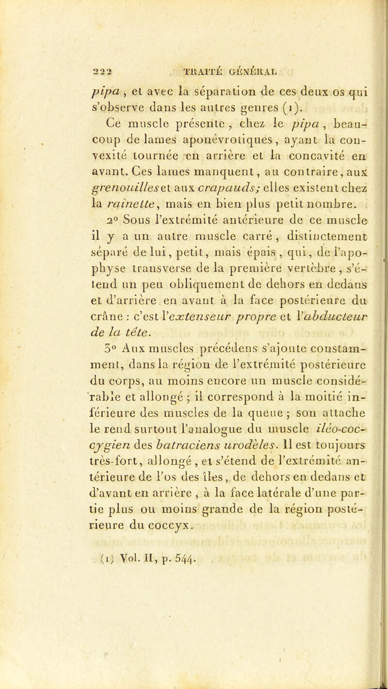 pipa , el avec la séparation de ces deux os qui s’observe dans les autres genres (i). Ce muscle présente , chez le pipa , beau- coup de lames aponévrotlques, ayant la con- vexité tournée en arrière el la concavité en avant. Ces lames manquent, au contraire, aux grenouillesQi aux crapauds; elles existent chez la rainette, mais en bien plus petit nombre. 2° Sous l’extrémité antérieure de ce muscle il y a un autre muscle carré, distinctement séparé de lui, petit, mais épais , qui, de l’apo- physe iransverse de la première vertèbre, s’é- tend un peu obliquement de dehors en dedans et d’arrière en avant à la face postérieure du crâne : eætenseur propre el Vabducteur de la tête. 5° Aux muscles précédens s’ajoute constam- ment, dans la région de l’extrémité postérieure du corps, au moins encore un muscle considé- rable et allongé ; il correspond à la moitié in- férieure des muscles de la queue j son attache le rend surtout l’analogue du muscle ilèo-coc- cygien des batraciens urod'eles. 11 est toujours très-fort, allongé , et s’étend de l’extrémité an- térieure de l’os des îles, de dehors en dedans et d’avant en arrière , à la face latérale d’une par- tie plus ou moins grande de la région posté- rieure du coccyx. (i) Vol. II, p. 544* 1