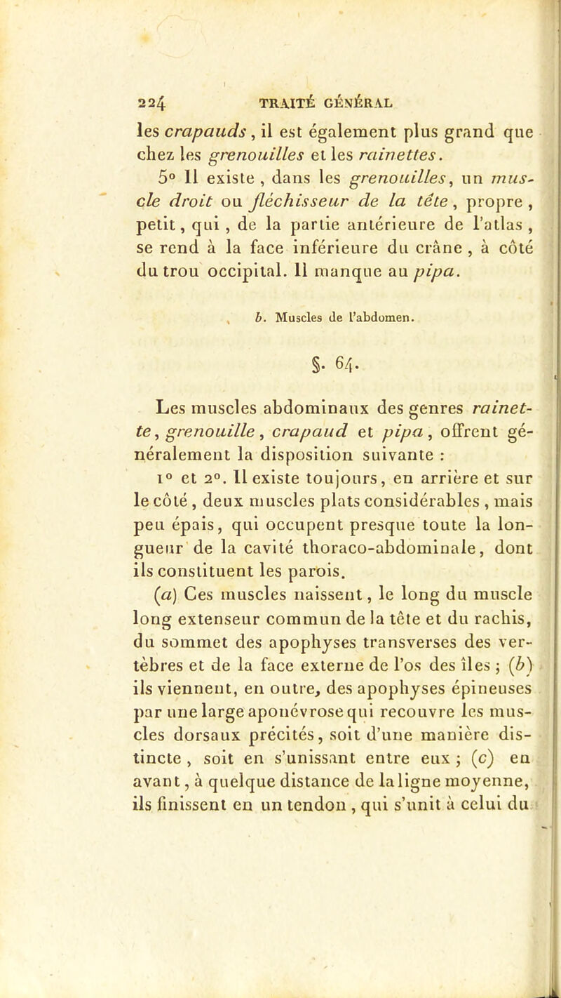 224 TRAITÉ GÉNÉRAL les crapauds, il est également plus grand que chez les grenouilles et les rainettes. 5“ 11 existe , dans les grenouilles, un mus^ cle droit ou fléchisseur de la tête, propre , petit, qui , de la partie antérieure de l’atlas , se rend à la face inférieure du crâne , à côté du trou occipital. Il manque au pipa. , b. Muscles de l’abdomen. §. 64. Les muscles abdominaux des genres rainet- ^ tegrenouille crapaud et pipa, offrent gé- néralement la disposition suivante : 1® et 2°. Il existe toujours, en arrière et sur le côté , deux muscles plats considérables , mais peu épais, qui occupent presque toute la lon- gueur de la cavité thoraco-abdominale, dont ils constituent les parois. (a) Ces muscles naissent, le long du muscle long extenseur commun de la tête et du rachis, du sommet des apophyses transverses des ver- tèbres et de la face externe de l’os des îles ; {b) ils viennent, en outre, des apophyses épineuses par une large aponévrose qui recouvre les mus- cles dorsaux précités, soit d’une manière dis- tincte , soit en s’unissant entre eux j (c) eu | avant, à quelque distance de la ligne moyenne, |: ils finissent en un tendon , qui s’unit à celui du