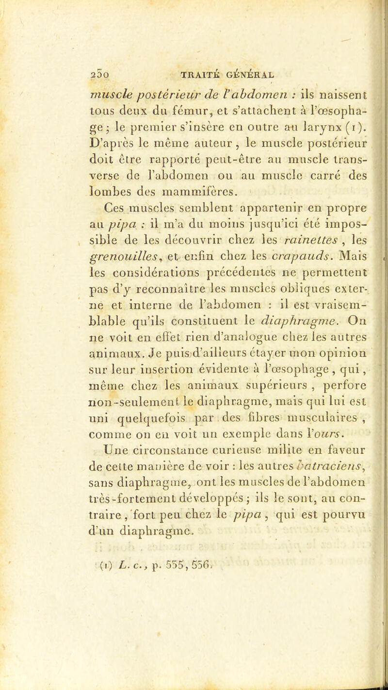 * s muscle postérieur de Vabdomen : ils naissent tous deux du fémur, et s’atiaclienl à l’œsopha- ge • le premier s’insère en outre au larynx (i). D’ap rès le même auteur, le muscle postérieur doit être rapporté peut-être au muscle trans- verse de l’abdomen ou au muscle carré des lombes des mammifères. Ces muscles semblent appartenir en propre au pipa : il m’a du moins jusqu’ici été impos- sible de les découvrir chez les rainettes , les grenouilles^ et enfin chez les crapauds. Mais les considérations précédentes ne permettent pas d’y reconnaître les muscles obliques exter- ne et interne de l’abdomen ; il est vraisem- blable qu’ils constituent le diaphragme. On ne voit en effet rien d’analogue chez les autres animaux. Je puis d’ailleurs étayer mon opinion sur leur insertion évidente à l’œsophage , qui, même chez les animaux supérieurs , perfore non-seulement le diaphragme, mais qui lui est uni quelquefois par des fibres musculaires , comme on eu voit un exemple dans Vours. Une circonstance curieuse milite en faveur de celte manière de voir : les es batraciens sans diaphragme, ont les muscles de l’abdomen très-fortement développés j ils le sont, au con- traire , ‘fort peu chez le pipa , qui est pourvu d’un diaphragme. (i) L. c., p. 555, 556i