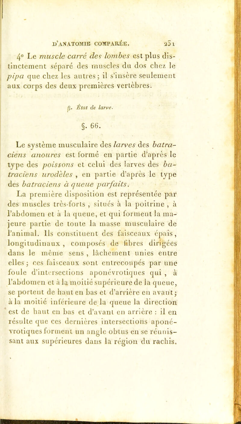 4“ Le muscle carré des lombes est plus dis- tinctement sépare des muscles du dos chez le pipa que chez les autres; il s’insère seulement aux corps des deux premières vertèbres. p. État de larve. §. 66. Le système musculaire des larves des batra- ciens anoures est formé en partie d’après le type des poissons et celui des larves des ba- traciens urodeles , eu partie d’après le type des batraciens à queue parfaits. La première disposition est représentée par des muscles très-forts , situés à la poitrine , à l’abdomen et à la queue, et qui forment la ma- jeure partie de toute la masse musculaire de l’animal. Ils constituent des faisceaux épais, longitudinaux , composés de fibres dirigées dans le même sens , lâchement unies entre elles ; ces faisceaux sont entrecoupés par une foule d’intersections aponévrotiques qui , à l’abdomen et rà la moitié supérieure de la queue, se portent de haut en bas et d’arrière en avant; à la moitié inférieure de la queue la direction est de haut en bas et d’avant en arrière : il en résulte que ces dernières Intersections aponé- vrotiques forment un angle obtus en se réunis- sant aux supérieures dans la région du rachis.
