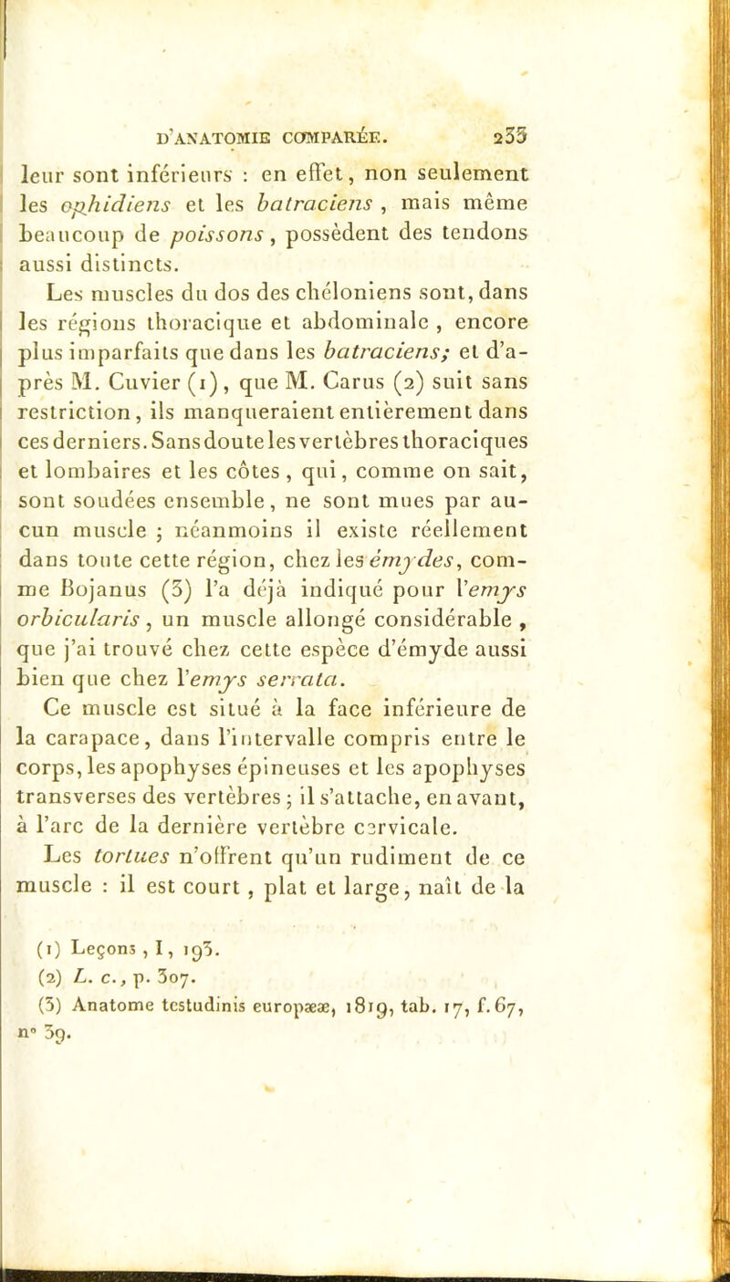 leur sont inférieurs : en effet, non seulement les opliidiens et les batraciens , mais même beaucoup de poissons, possèdent des tendons 1 aussi distincts. Les muscles du dos des chélonlens sont, dans 1 les réi^lons thoracique et abdominale , encore I plus imparfaits que dans les batraciens; et d’a- I près M. Cuvier (i) , que M. Carus (2) suit sans I restriction, ils manqueraient entièrement dans I ces derniers. Sans doute les vertèbres thoraciques ; et lombaires et les côtes , qui, comme on sait, i sont soudées ensemble, ne sont mues par au- I cun muscle j néanmoins il existe réellement dans toute cette région, c\\ez\es émjdes, com- me Bojanus (5) l’a déjà indiqué pour Vemjs orbicularis, un muscle allongé considérable , que j’ai trouvé chez cette espèce d’émyde aussi bien que chez Vemjs serrata. Ce muscle est situé à la face inférieure de la carapace, dans l’intervalle compris entre le corps, les apophyses épineuses et les apophyses transverses des vertèbres ; 11 s’attache, en avant, à l’arc de la dernière vertèbre C3rvicale. Les tortues n’olfrent qu’un rudiment de ce muscle : il est court, plat et large, naît de la (1) Leçons , I, ip5. (2) L. c., p. 307. (5) Anatome tcstudinis europææ, 1819, tab. 17, f.67, ïi® 59.