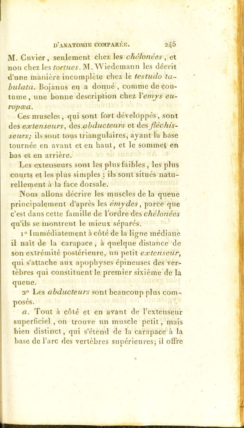 M. Cuvier, seulement cliez les chélonées, et non chez les M.Wiedemann les décrit d’une manière incomplète chez le testudo ta- hulata. Bojanus en a donné, comme de cou- tume , une bonne description chez Vemjs eu- ropœa. Ces muscles, qui sont fort développés, sont des extenseurs, à.es çih duc leurs et ^^.es fléchis- seurs; ils sont tous triangulaires, ayant la base tournée en avant et en baul, et le sommet en bas et en arrière. • * - • Les extenseurs sont les plus faibles , les plus courts et les plus simples ; ils sont situés natu- rellement à la face dorsale. Nous allons décrire les muscles de la queue principalement d’après les émydes, parce qiie c’est dans cette famille de l’ordre dés chélonées qu’ils se montrent le mieux séparés. 1° Immédiatement à côté de la ligne médiane il naît de la carapace, à quelque distance de son extrémité postérieure, un petit extenseur, qui s’attache aux apophyses épineuses des ver- tèbres qui constituent le premier sixième de la queue. 2“ Les abducteurs sont beaucoup plus com- posés. a. Tout à côté et en avant de l’extenseur superficiel , on trouve un muscle petit, mais bien distinct, qui s’étend de la carapace à la base de l’arc des vertèbres sunérieures; il offre A '