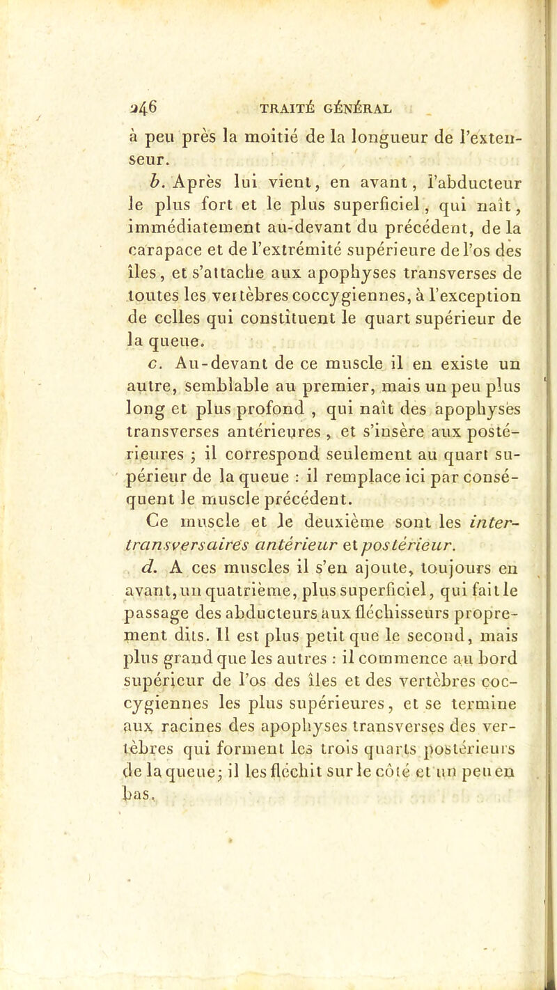 à peu près la moitié de la longueur de l’exteii- seur. Z>. Après lui vient, en avant, l’abducteur le plus fort et le plus superficiel, qui naît, immédiatement au-devant du précédent, de la carapace et de l’extrémité supérieure de l’os des îles, et s’attache aux apophyses transverses de toutes les ver tèbres coccygiennes, à l’exception de celles qui constituent le quart supérieur de la queue. c. Au-devant de ce muscle il en existe un autre, semblable au premier, mais un peu plus long et plus profond , qui naît des apophyses transverses antérieures , et s’insère aux posté- rieures j il correspond seulement au quart su- périeur de la queue : il remplace ici par consé- quent le muscle précédent. Ce muscle et le deuxième sont les inter- trcinsversaires antérieur et postérieur. d. A ces muscles il s’en ajoute, toujours en avant, un quatrième, plus superficiel, qui fait le passage des abducteurs aux fléchisseurs propre- ment dits. 11 est plus petit que le second, mais plus grand que les autres : il commence au bord supérieur de l’os des îles et des vertèbres çoc- cygiennes les plus supérieures, et se termine aux racines des apophyses transverses des ver- tèbres qui forment les trois quarts postérieurs de la queue j il les fléchit sur le côté et un peu en bas.
