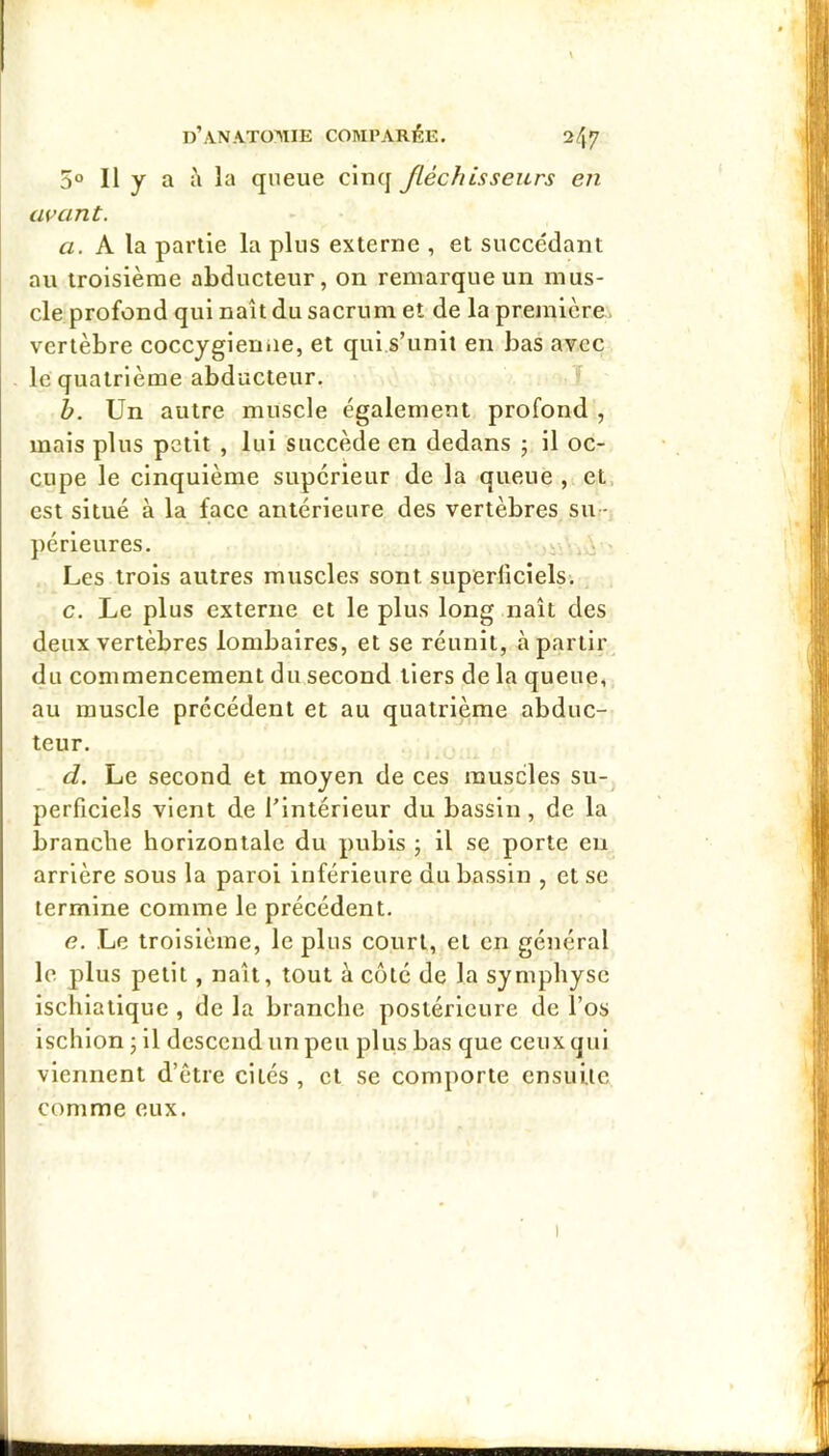 5° Il y a à la queue cinq Jléchisseurs en avant. a. A la partie la plus externe , et succédant au troisième abducteur, on remarque un mus- cle profond qui naît du sacrum et de la première, vertèbre coccygienne, et qui s’unit en bas avec le quatrième abducteur. T h. Un autre muscle également profond , mais plus petit , lui succède en dedans ; il oc- cupe le cinquième supérieur de la queue , et, est situé à la face antérieure des vertèbres sii:- pérleures. o ■ Les trois autres muscles sont superliclels. c. Le plus externe et le plus long naît des deux vertèbres lombaires, et se réunit, à partir du commencement du second tiers de la queue, au muscle précédent et au quatrième abduc- teur. d. Le second et moyen de ces muscles su- perficiels vient de l’intérieur du bassin, de la branche horizontale du pubis ; il se porte eu arrière sous la paroi inférieure du bassin , et se termine comme le précédent. e. Le troisième, le plus court, et en général le plus petit, naît, tout à côté de la symphyse ischiatique , de la branche postérieure de l’os Ischion 5 il descend un peu plus bas que ceux qui viennent d’être cités , et se comporte ensuite comme eux.