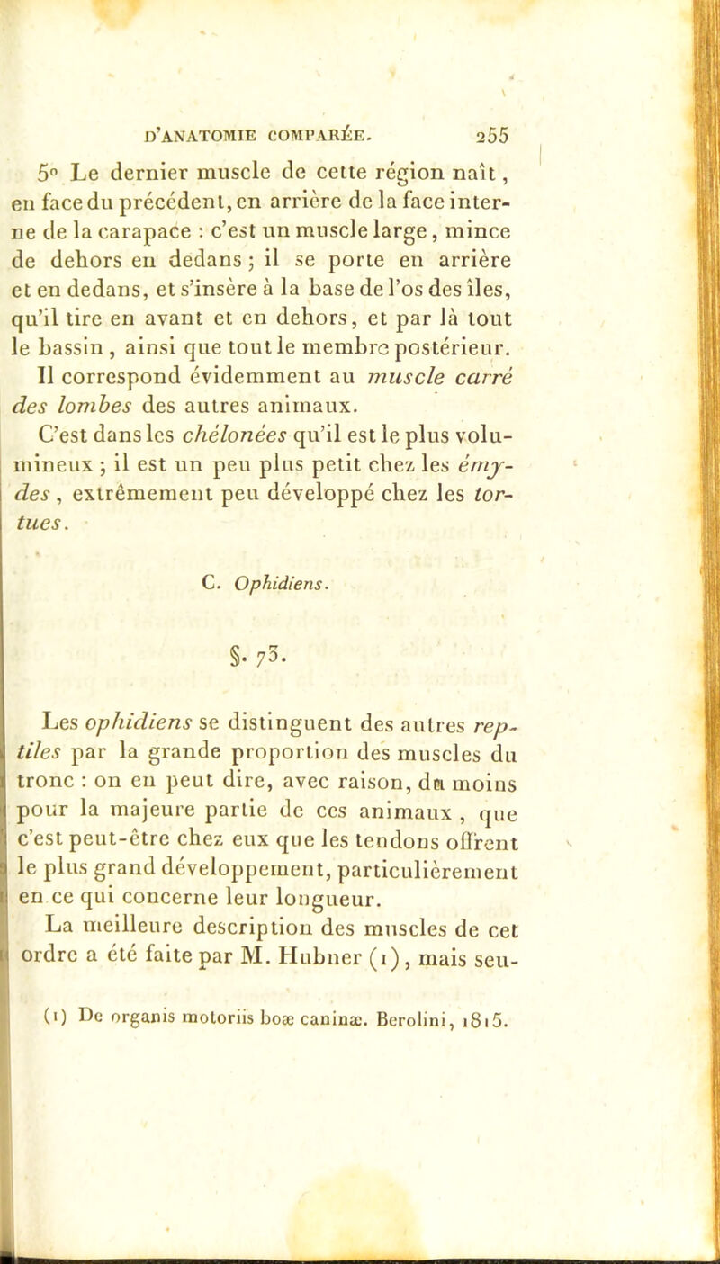 5° Le dernier muscle de cette région naît, en face du précédent, en arrière de la face inter- ne de la carapace ; c’est un muscle large, mince de dehors en dedans j il se porte en arrière et en dedans, et s’insère à la base de l’os des îles, qu’il tire en avant et en dehors, et par là tout le bassin , ainsi que tout le membre postérieur. 11 correspond évidemment au muscle carré des lombes des autres animaux. C’est dans les chélonées qu’il est le plus volu- mineux ; il est un peu plus petit chez les émj- des , extrêmement peu développé chez les tor- tues. C. Ophidiens. §. 75. Les ophidiens se distinguent des autres rep- tiles par la grande proportion des muscles du tronc : on en peut dire, avec raison, dn moins pour la majeure partie de ces animaux , que ) c’est peut-être chez eux que les tendons olïfent j le plus grand développement, particulièrement i en ce qui concerne leur longueur. La meilleure description des muscles de cet » ordre a été faite par M. Hubner (i) , mais seu- (i) De organis raoloriis boæ caninæ. Berolini, i8i5.