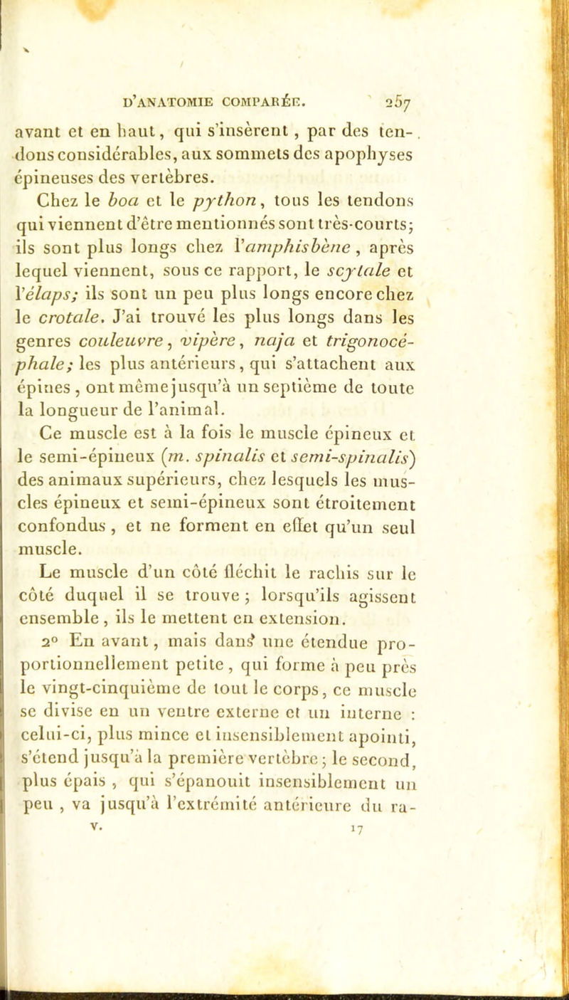 avant et en haut, qui s’insèrent , par des ten-. dons considérables, aux sommets des apophyses épineuses des vertèbres. Chez le boa et le python^ tous les tendons qui viennent d’être mentionnés sont très-courts j ils sont plus longs chez Vamphisbène , après lequel viennent, sous ce rapport, le scjtale et Vélaps; ils sont un peu plus longs encore chez le crotale. J’ai trouvé les plus longs dans les genres couleuvre, vipère, naja et trigonocé- phale;\es, plus antérieurs, qui s’attachent aux épines , ont même jusqu’à un septième de toute la longueur de l’animal. Ce muscle est à la fois le muscle épineux et le semi-épineux (m, spinalis cl serni-spinalis) des animaux supérieurs, chez lesquels les mus- cles épineux et semi-épineux sont étroitement confondus , et ne forment en ellet qu’un seul muscle. Le muscle d’un côté üéchit le rachis sur le côté duquel il se trouve; lorsqu’ils agissent ensemble , ils le mettent en extension. 2° Eu avant, mais dan^ une étendue pro- portionnellement petite , qui forme à peu près le vingt-cinquième de tout le corps, ce muscle se divise en un ventre externe et un interne ; celui-ci, plus mince et insensiblement apoinii, s’étend jusqu’à la première vertèbre; le second, plus épais , qui s’épanouit insensiblement un peu , va jusqu’à l’extrémité antérieure du ra- 17