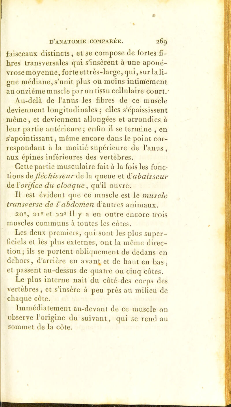 ! faisceaux distincts, et se compose de fortes fi- I hres transversales qui s’insèrent à une aponc- ' vrose moyenne, forte et très-large, qui, sur la li- gne médiane, s’unit plus ou moins intimement au onzième muscle par un tissu cellulaire court.’ Au-delà de l’anus les fibres de ce muscle deviennent longitudinales ; elles s’épaississent même, et deviennent allongées et arrondies à ! leur partie antérieure; enfin il se termine , en s’apointissant, même encore dans le point cor- respondant à la moitié supérieure de l’anus, aux épines inférieures des vertèbres. Cette partie musculaire fait à la fois les fonc- tions deJléchisseur àe la queue et àHabaisseur de Vorifice du cloaque ^ qu’il ouvre. Il est évident que ce muscle est le muscle transverse de l’abdomen d’autres animaux. 20°, 21° et 22° 11 y a en outre encore trois muscles communs à toutes les côtes. Les deux premiers, qui sont les plus super- ficiels et les plus externes, ont la même direc- tion; ils se portent obliquement de dedans en dehors, d’arrière en avant et de haut en bas, el passent au-dessus de quatre ou cinq côtes. Le plus interne naît du côté des corps des vertebres , et s’insère à peu près au milieu de chaque côte. Im médiatement au-devant de ce muscle on observe l’origine du suivant, qui se rend au sommet de la côte.
