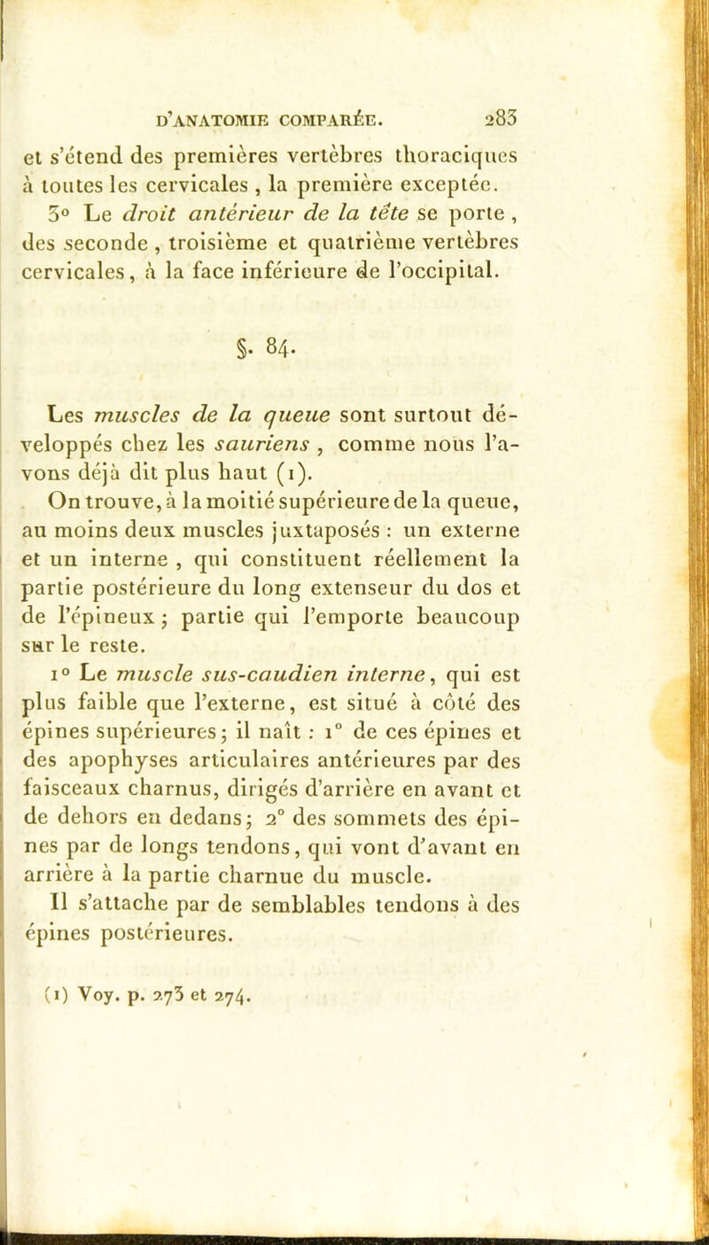 et s’étend des premières vertèbres thoraciques à toutes les cervicales , la première exceptée. 5° Le droit antérieur de la tête se porte , des seconde , troisième et quatrième vertèbres cervicales, à la face inférieure de l’occipital. §. 84. Les muscles de la queue sont surtout dé- veloppés chez les sauriens , comme nous l’a- vons déjà dit plus haut (i). On trouve, à la moitié supérieure de la queue, au moins deux muscles juxtaposés : un externe et un interne , qui constituent réellement la partie postérieure du long extenseur du dos et de l’épineux j partie qui l’emporte beaucoup sur le reste. 1° Le muscle sus-caudien interne, qui est plus faible que l’externe, est situé à côté des épines supérieures; il naît ; 1° de ces épines et des apophyses articulaires antérieures par des faisceaux charnus, dirigés d’arrière en avant et de dehors en dedans; 2° des sommets des épi- nes par de longs tendons, qui vont d’avant en arrière à la partie charnue du muscle. Il s’attache par de semblables tendons à des épines postérieures. (i) Voy. p. 273 et 274.