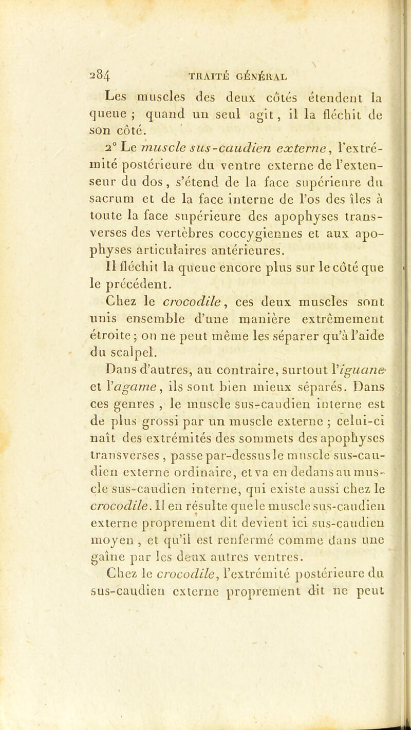Les muscles des deux cotés étendent la queue; quand un seul agit, il la fléchit de son côté. 2° Le muscle sus-caudien externe, l’extré- mité postérieure du ventre externe de l’exten- seur du dos, s’étend de la face supérieure du sacrum et de la face interne de l’os des îles à toute la face supérieure des apophyses trans- verses des vertèbres coccygiennes et aux apo- physes articulaires antérieures. Il fléchit la queue encore plus sur le côté que le précédent. Chez le crocodile, ces deux muscles sont unis ensemble d’une manière extrêmement étroite ; on ne peut même les séparer qu’à l’aide du scalpel. Dans d’autres, au contraire, surtout Viguane- ci \agame, ils sont bien mieux séparés. Dans ces genres , le muscle sns-caudieu interne est de plus grossi par un muscle externe ; celui-ci naît des extrémités des sommets des apophyses transverses , passe par-dessus le muscle sus-cau- dien externe ordinaire, et va en dedans au mus- cle sus-caudien interne, qui existe aussi chez le crocodile. Il en résulte quele muscle sus-caudien externe proprement dit devient ici sus-caudien moyen , et ([u’il est renfermé comme dans une gaîne par les deux autres ventres. Chez le crocodile, l’extrémité postérieure du sus-caudien externe proprement dit ne peut