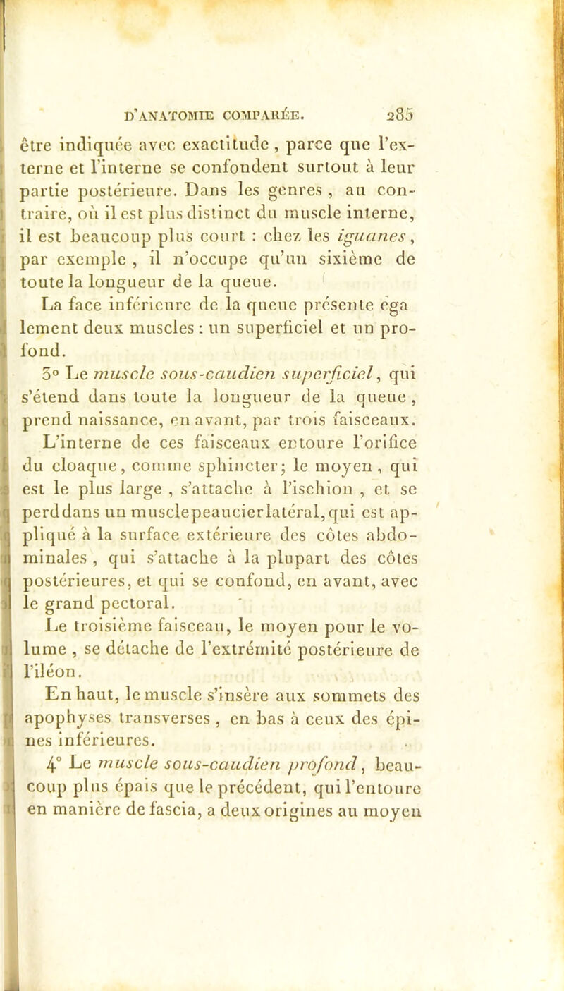 être indiquée avec exactitude , parce que l’ex- terne et l’interne se confondent surtout à leur partie postérieure. Dans les genres , au con- traire, où il est plus distinct du muscle interne, il est beaucoup plus court : chez les iguanes, , par exemple , il n’occupe qu’un sixième de toute la longueur de la queue. ( La face iuférieure de la queue présente ega lement deux muscles : un superficiel et un pro- I fond. 5° Le muscle sous-caudien superficiel^ qui s’étend dans toute la longueur de la queue, t prend naissance, en avant, par trois faisceaux. L’interne de ces faisceaux entoure l’orilice { du cloaque, comme sphincter^ le moyen, qui ; est le plus large , s’attache à l’ischion , et se q perddans un musclepeaucierlatéral,qul est ap- q pllqué à la surface extérieure des côtes abdo- II minales , qui s’attache à la plupart des côtes fj postérieures, et qui se confond, en avant, avec )l le grand pectoral. 1 Le troisième faisceau, le moyen pour le vo- il lume , se détache de l’extrémité postérieure de I l’iléon. En haut, le muscle s’insère aux sommets des •i| apophyses transverses , en bas à ceux des épi- i| nés inférieures. 4° Le muscle sous-caudien profond^ beau- coup plus épais que le précédent, qui l’entoure en manière de fascia, a deux origines au moyeu